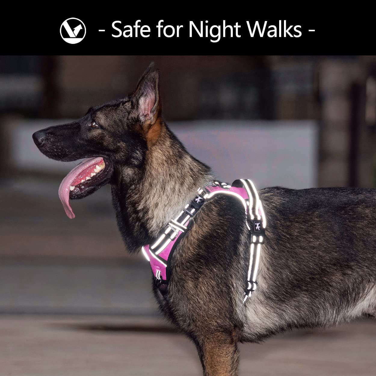 Poypet 2019 Upgraded No Pull Dog Harness With 4 Snap Buckles, Reflective With Front & Back 2 Leash Hooks And An Easy Control Handle [No Need Go Over Dog’S Head] (Pink,S)