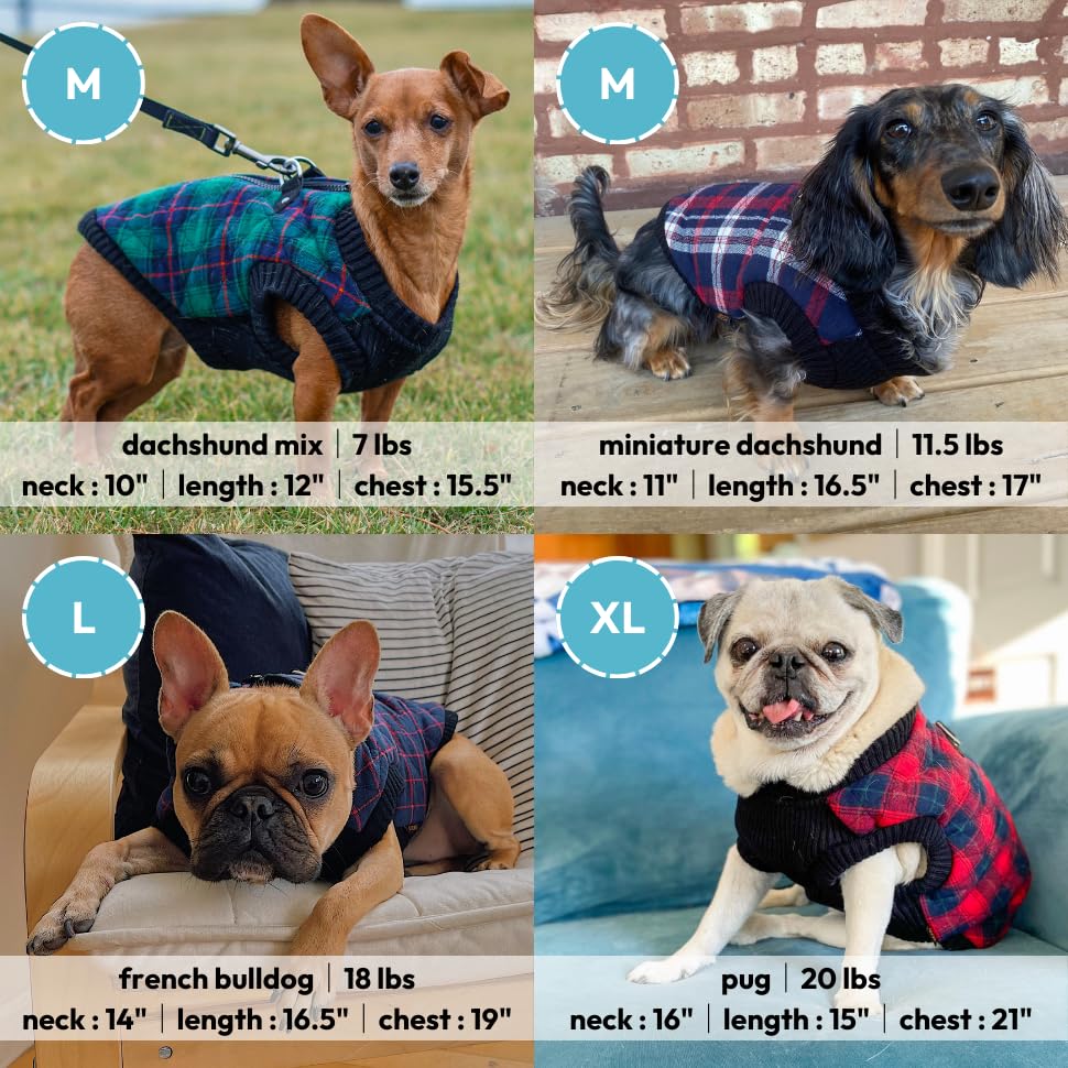 Gooby Fashion Vest Check Dog Jacket - Yellow Check, Medium - Warm Zip Up Dog Bomber Vest Dual D Ring Leash - Winter Water Resist
