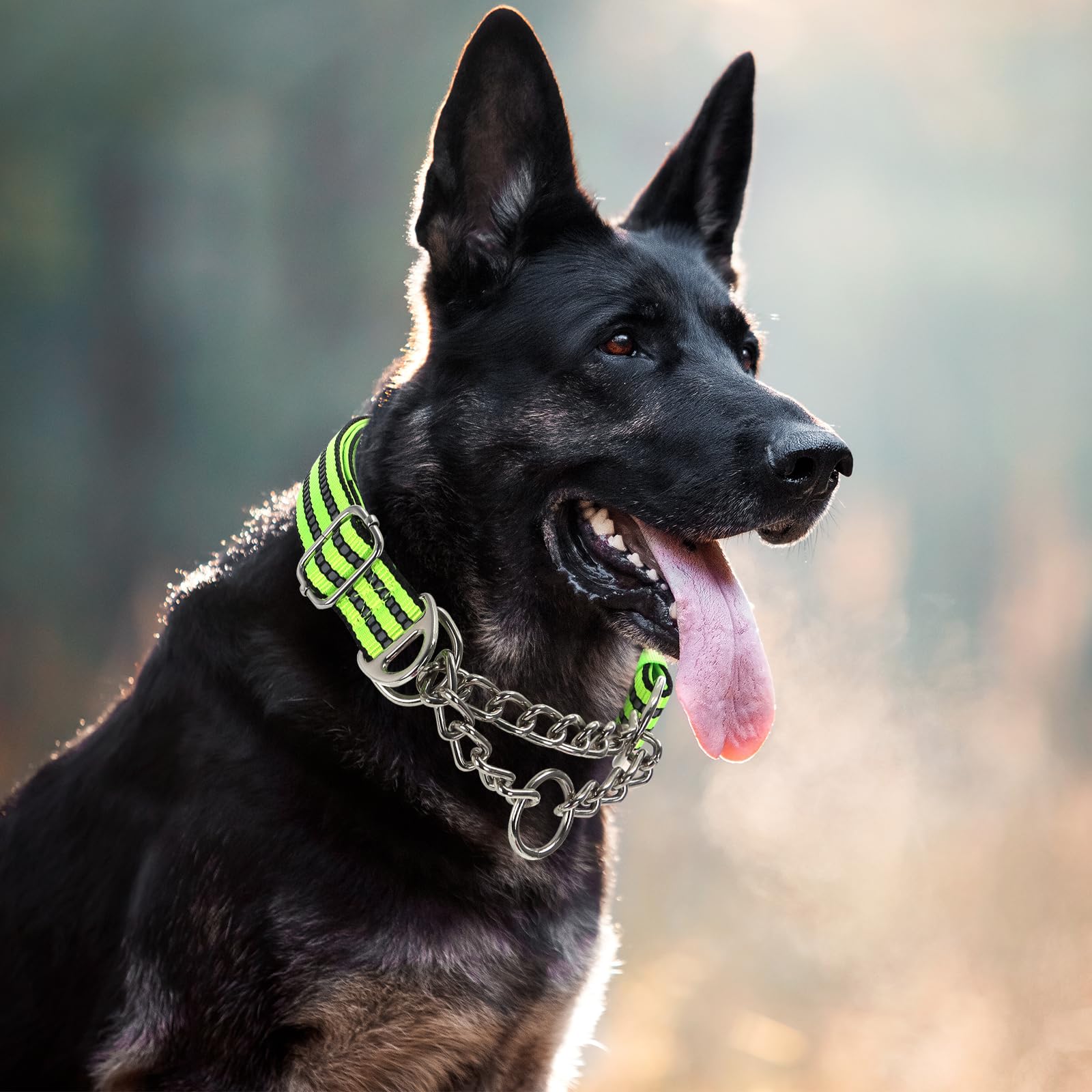 Martingale Collar Dog With Reflective,Nylon Soft Padded Adjustable Choke Collar For Large Breed Dogs, Medium, Xl, Xxl - Training