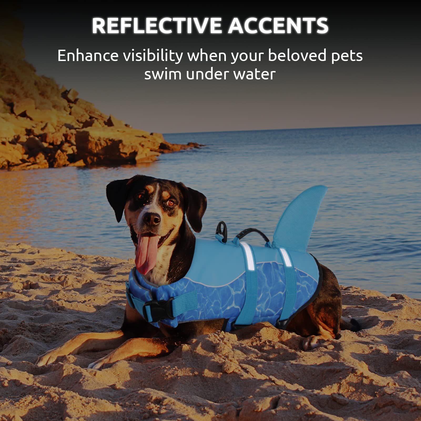 Queenmore Shark Dog Life Jacket - High Buoyant Swimming Vest, Adjustable Easy-On For Small, Medium, Large Dogs (Blue, M)