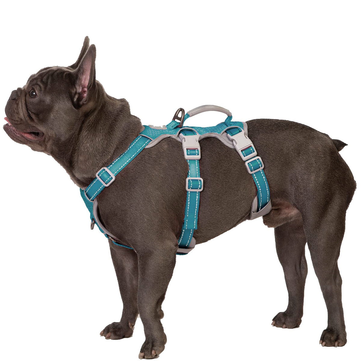 Huntboo Escape Proof Dog Harness, Escape Artist Harness, Fully Reflective Harness With Padded Handle, Breathable, Durable, Adjustable Vest For Small Dogs Walking, Training, And Running Gear (Teal,S)