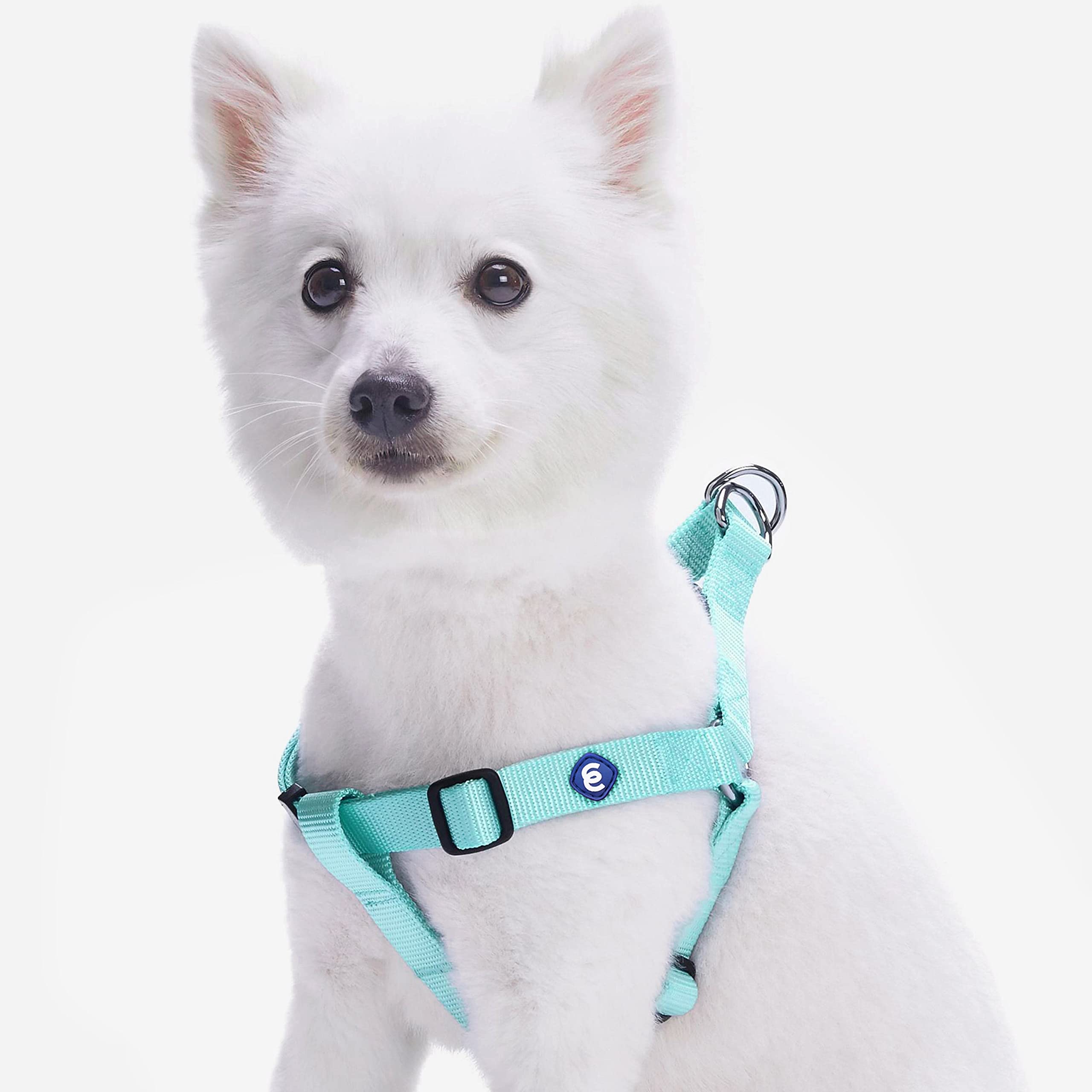 Blueberry Pet Essentials Classic Durable Solid Nylon Step-In Dog Harness, Chest Girth 26' - 39', Mint Blue, Large, Adjustable Harnesses For Puppy Boy Girl Dogs