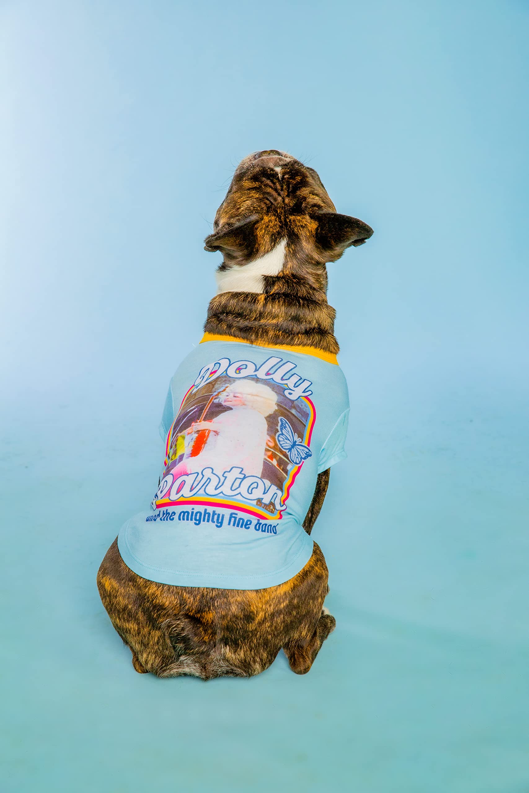 Doggy Parton Blue Dolly & The Mighty Fine Band Shirt For Pets - M (22120727)