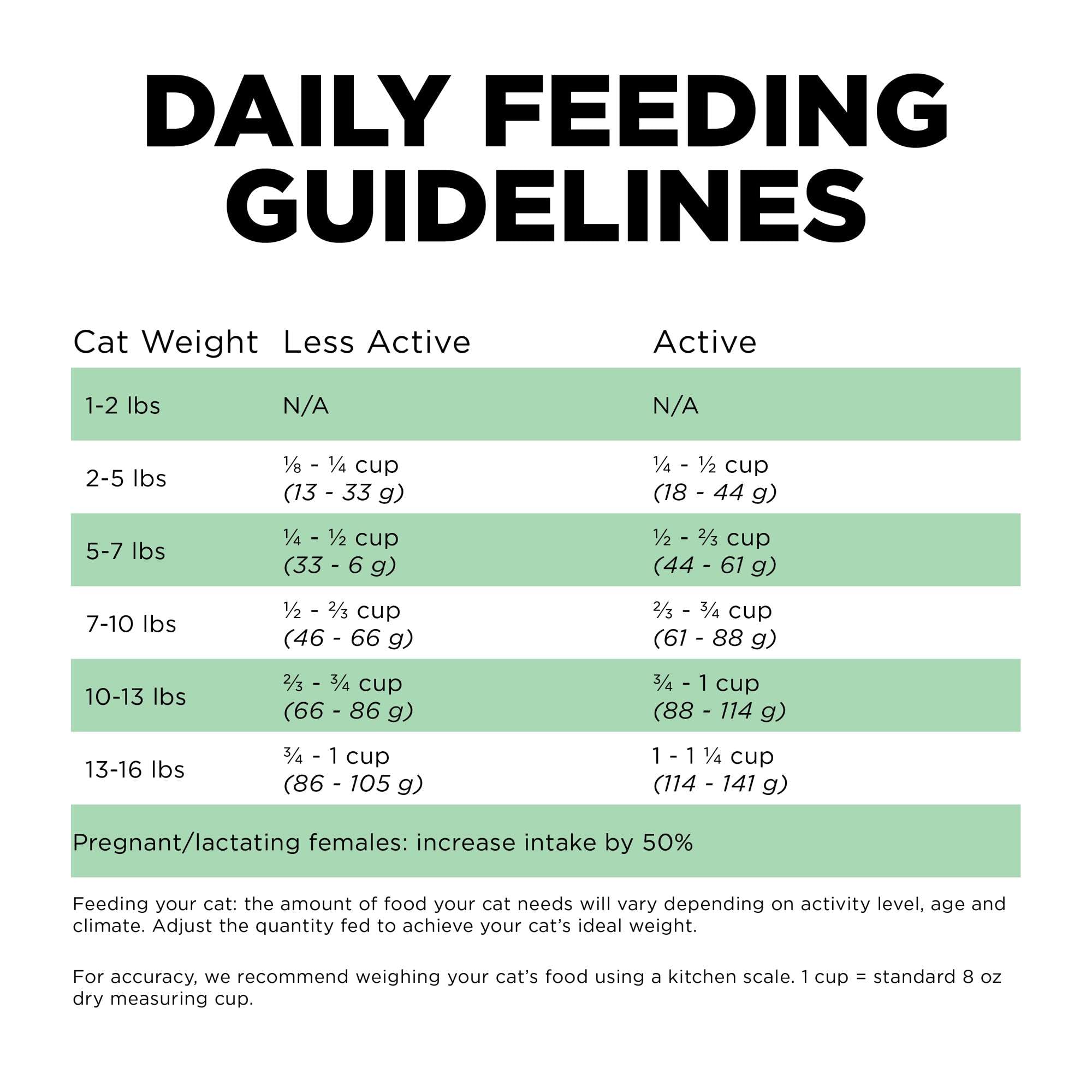 Go! Solutions Sensitivities Limited Ingredient Insect Grain-Free Dry Cat Food, Chicken-Free Kibble Made by Experts for Sensitive