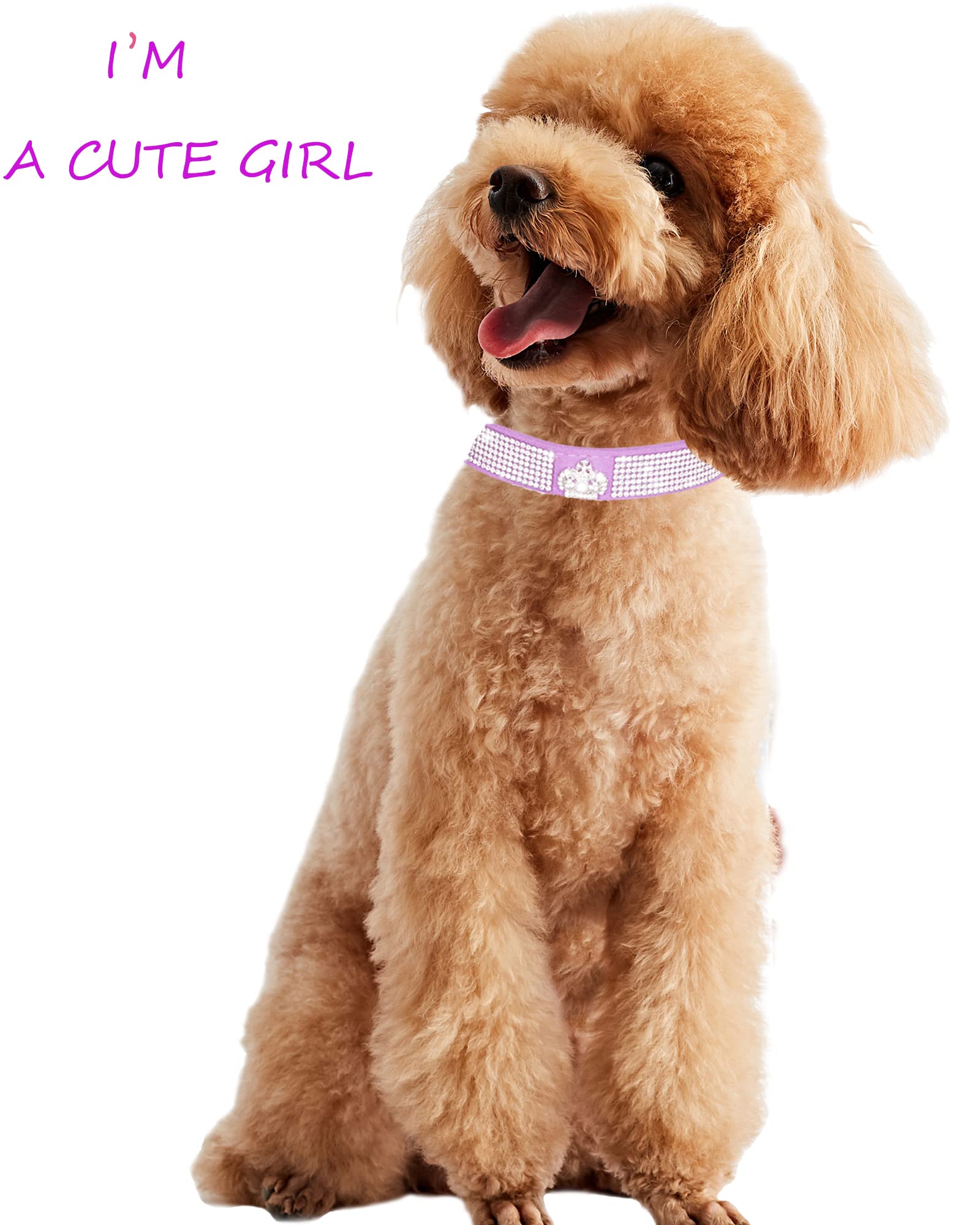 Dog Collar For Small Dogs, Adjustable Leather Suede Bling Dog Collars,Pink Dog Collar Cat Collar, Rhinestone Dog Collar (S, Purp