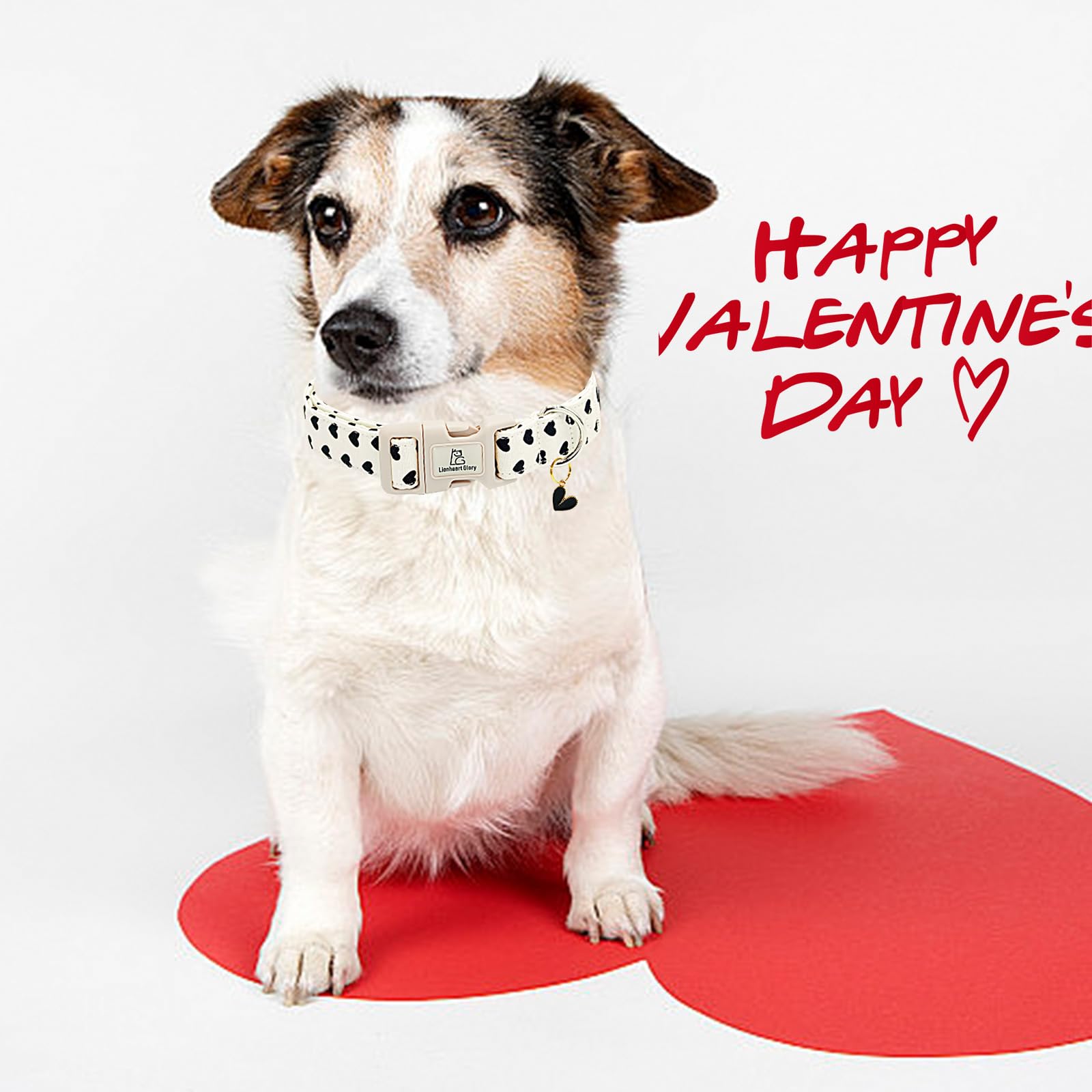 Lionheart Glory Valentine Collar-Hearts Print Dog Collar For Large Cute Dog Collars Spring Female Male Pet Gift Adjustable Heavy