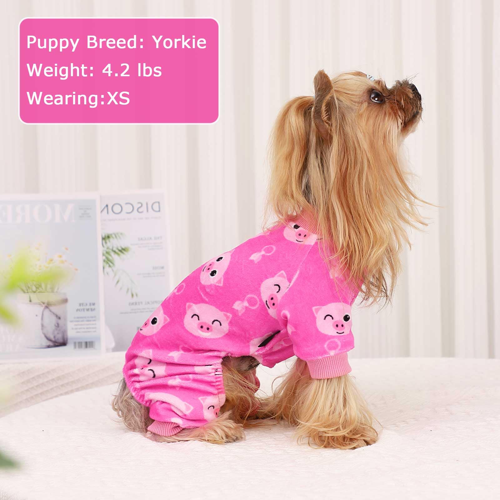 Kosiyi Dog Clothes for Small Dogs Girl Boy Dog Pajamas, Stretch Fleece Winter Spring Outfit, Lightweight Velvet Pet Jumpsuit, Pj