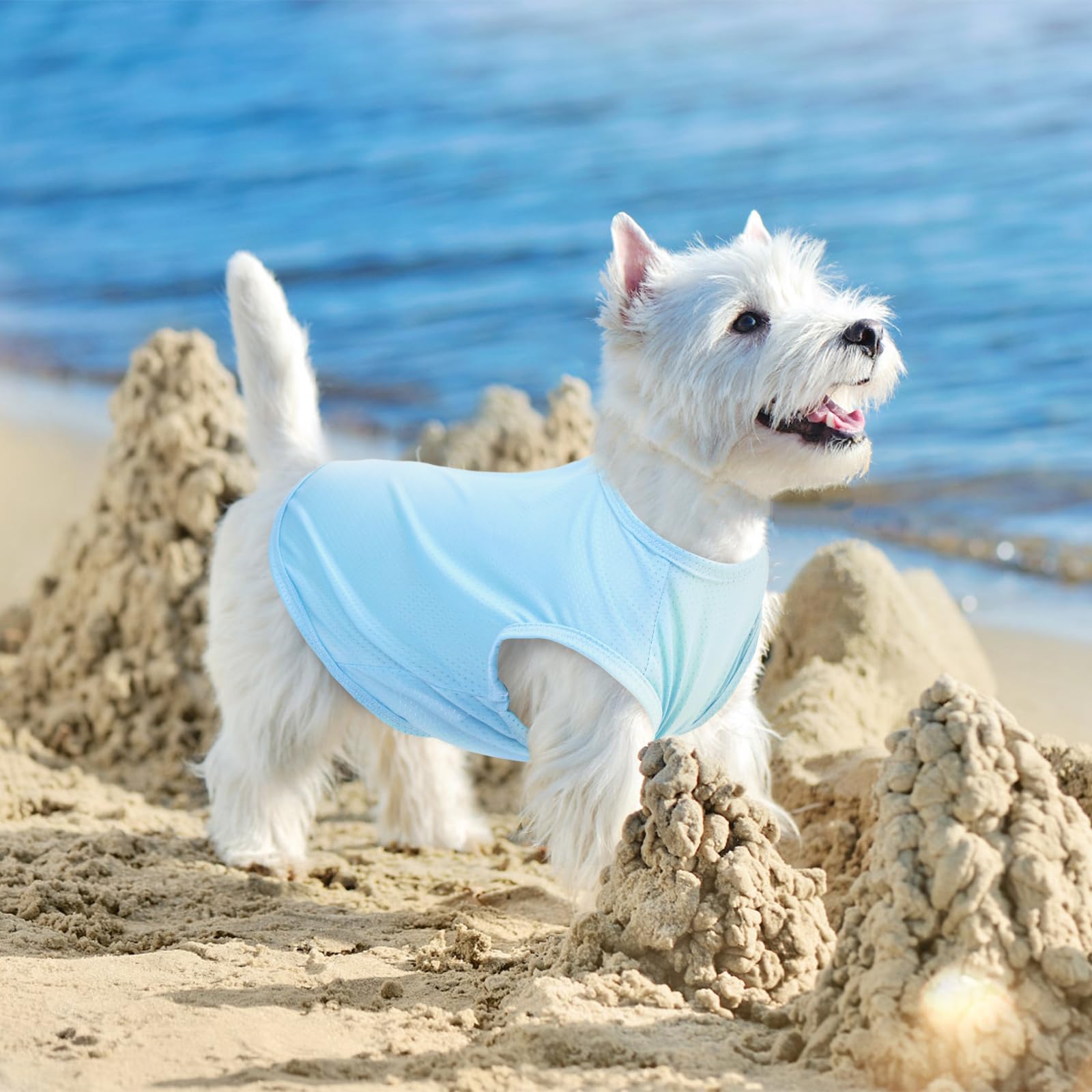 Nanaki 2 Pack Breathable Dog Shirts For Large Dogs-Stretchy T-Shirts, Tank Top Soft Mesh Lightweight Quick Dry Sweatshirt, Pullo