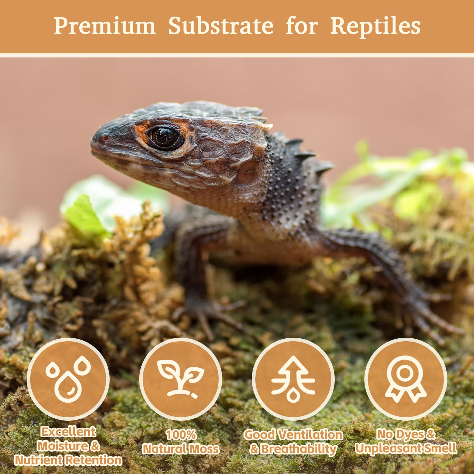 Riare 14Oz Premium Sphagnum Moss For Reptiles- 20Qt Natural Reptile Moss Dried, Forest Live Moss For Terrarium, Frogs Snake Peat