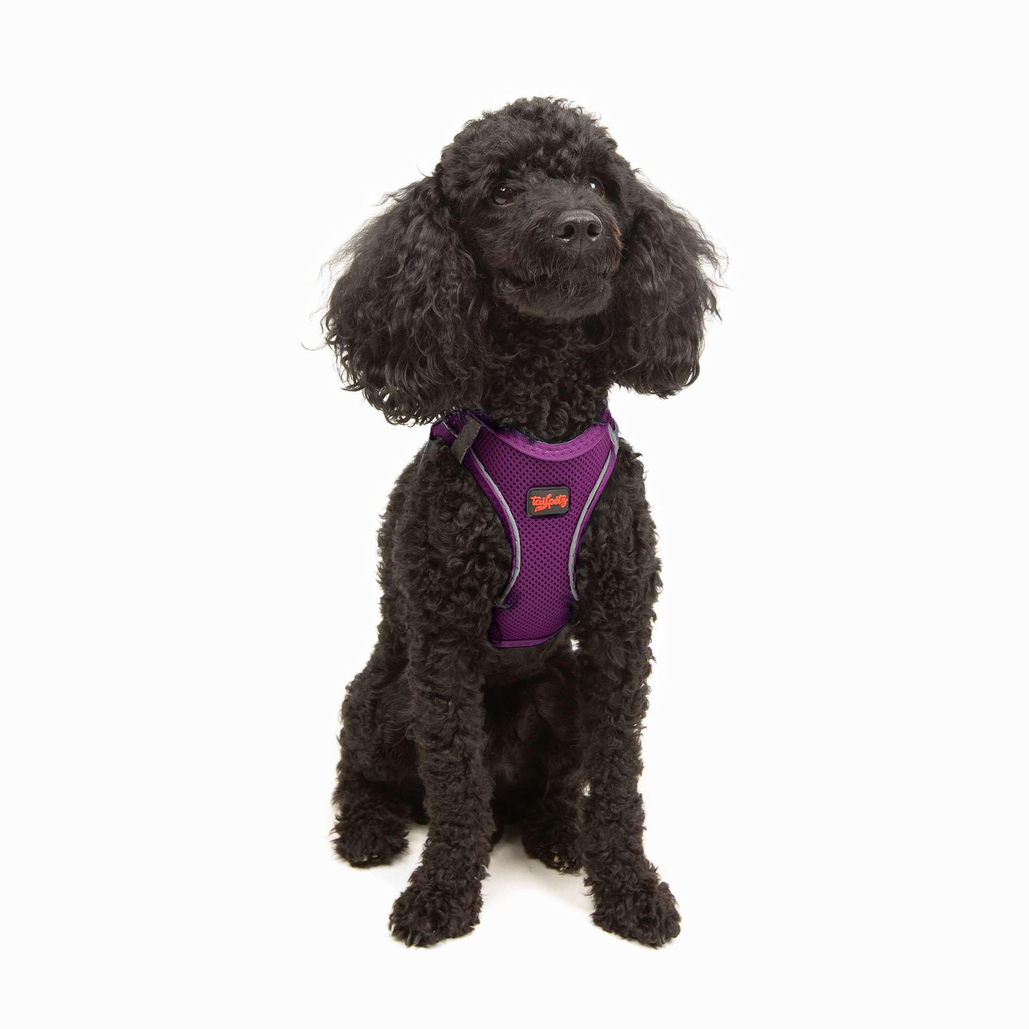 Tailpetz Xs Dog Harness Purple, Adjustable Step in No Pull Dog Harness Small Sized Dog, Reflective Puppy Harness for Puppy Train