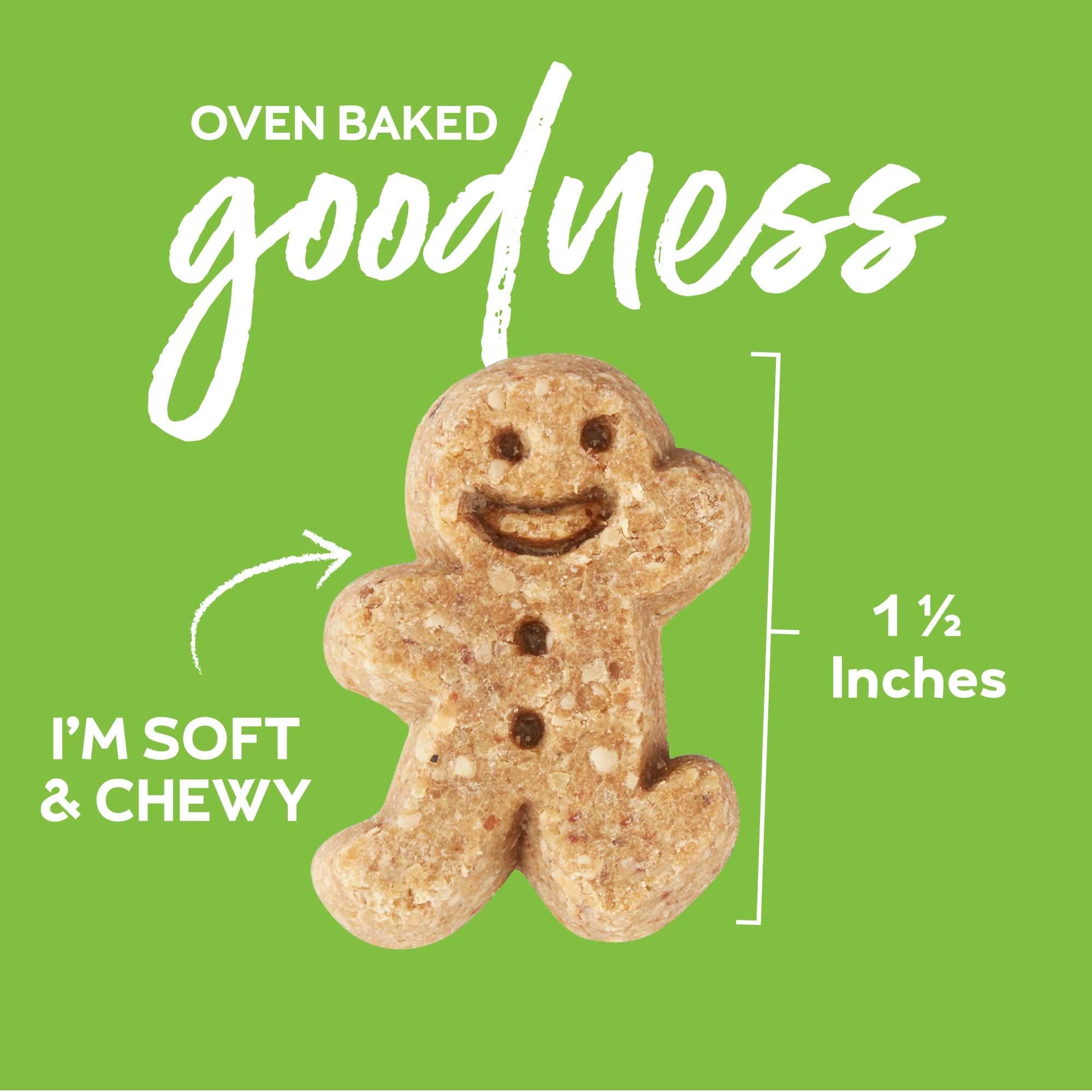 Buddy Biscuit Softies 5 oz Pouch, Soft & Chewy, Natural Roasted Chicken Flavor Dog Treats, Oven Baked in the USA