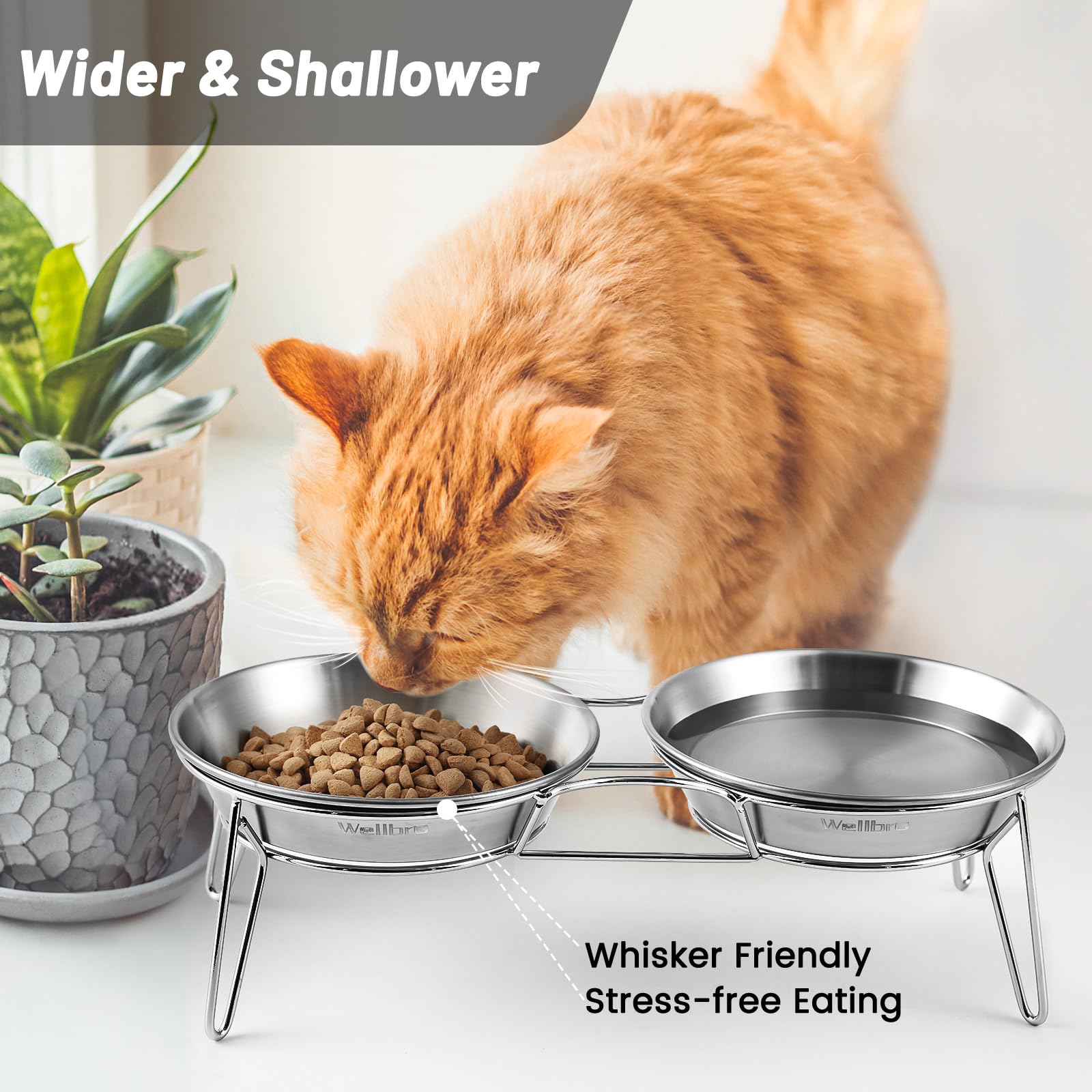 Wellbro Elevated Cat Bowls, 5.9 Inch Wide Stainless Steel Cat Food Bowls with Metal Stand Whisker Stress-Free, Raised Food and W