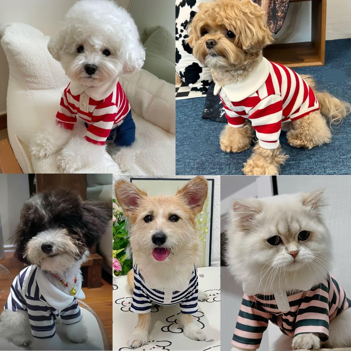 Manon Rosa Cute Dog Clothes Boy Polo Shirt For Small Medium Dogs - Summer Male Puppy T Shirts For Yorkie Poodle Shih Tzu Dachshu