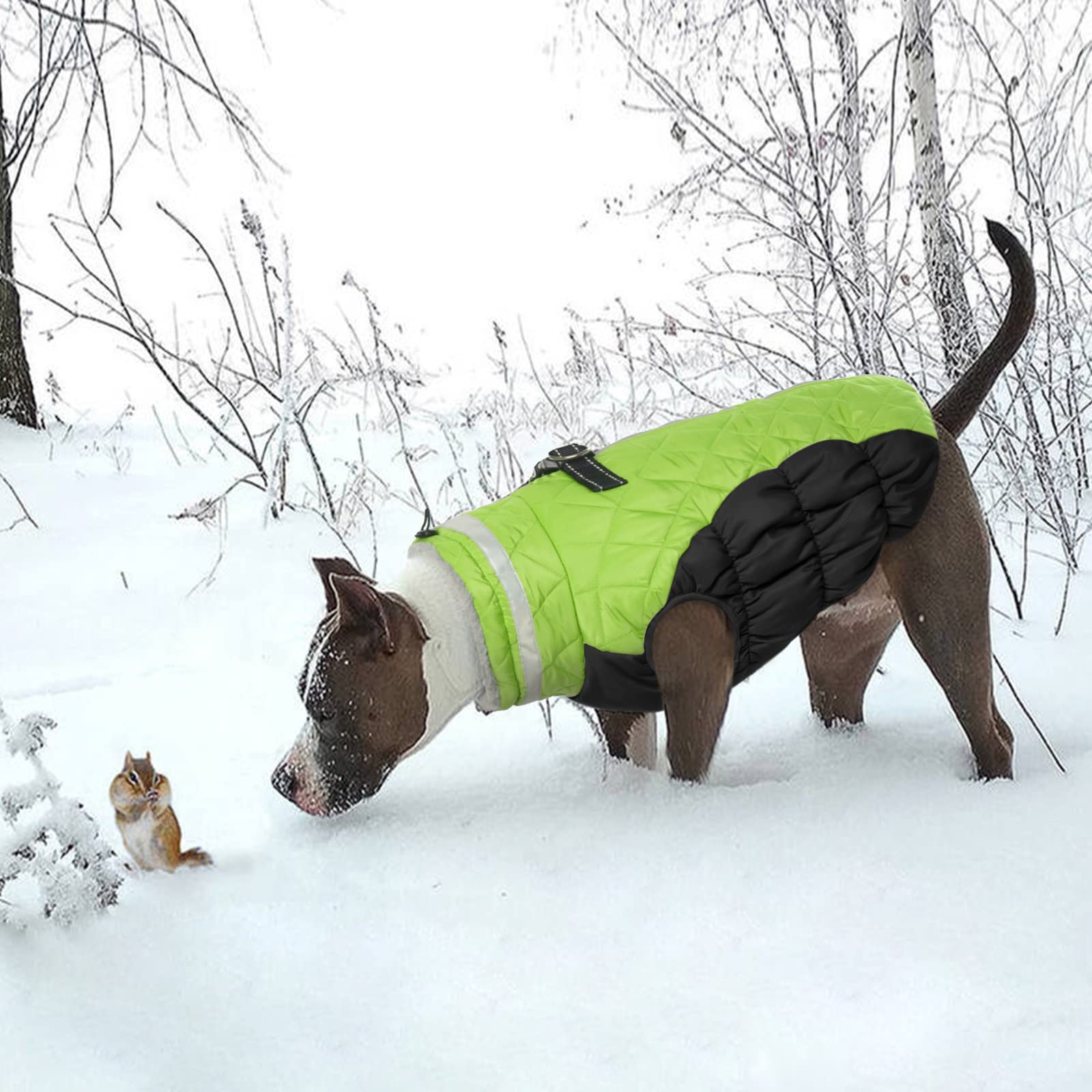 Lelepet Warm Dog Winter Coat,Xs Dog Coat Waterproof Dog Jacket With Harness Dog Padded Vest Windproof Reflective Dog Fleece Jacket Vest Turtleneck Zippered Dog Snow Jacket Dog Coats For Small Dogs