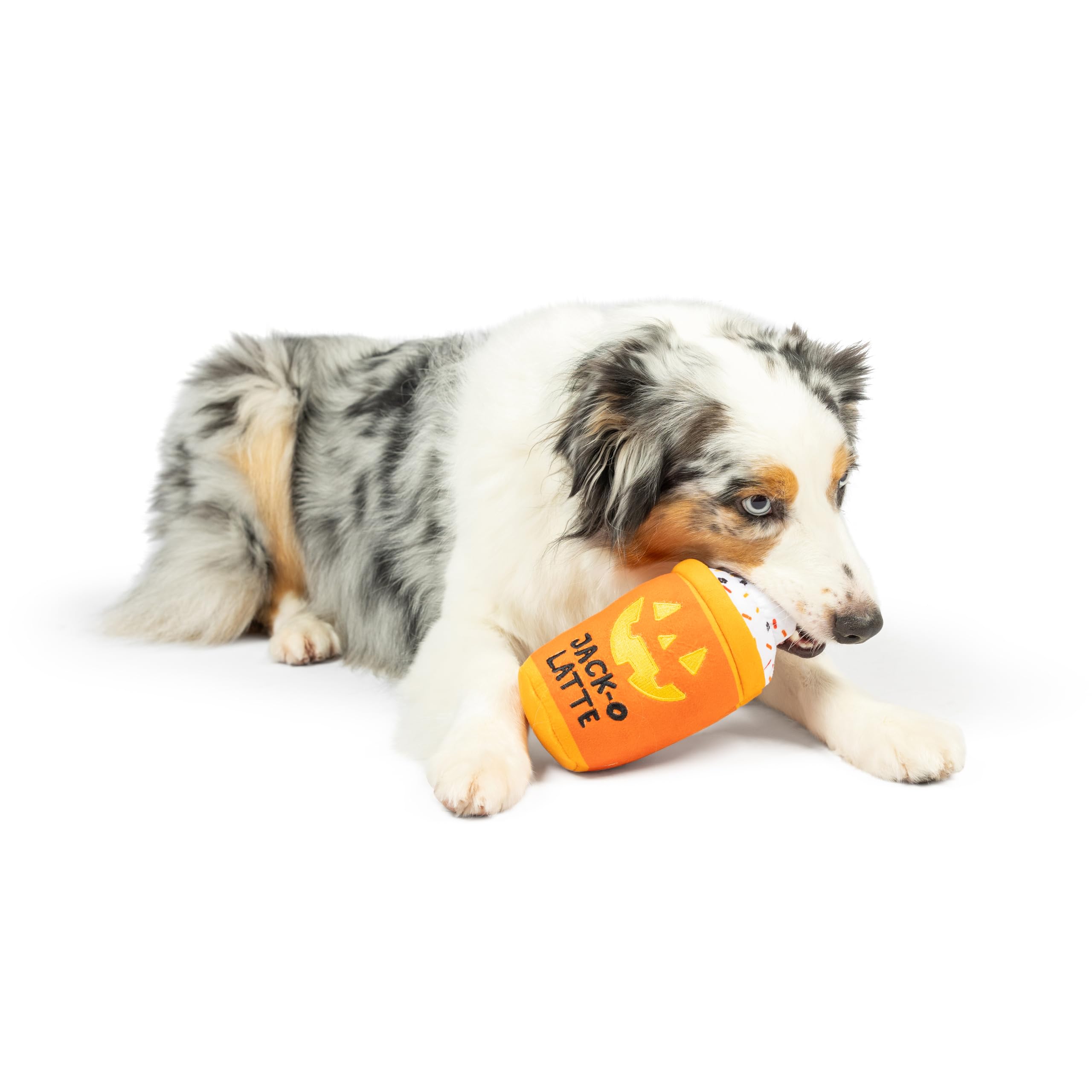 Huxley & Kent For Dogs | Jack-O-Latte | Halloween Fall Power Plush Dog Toy With Squeaker | Funny Dog Toy | Cute Dog Toy | H&K Squeaky Dog Toy