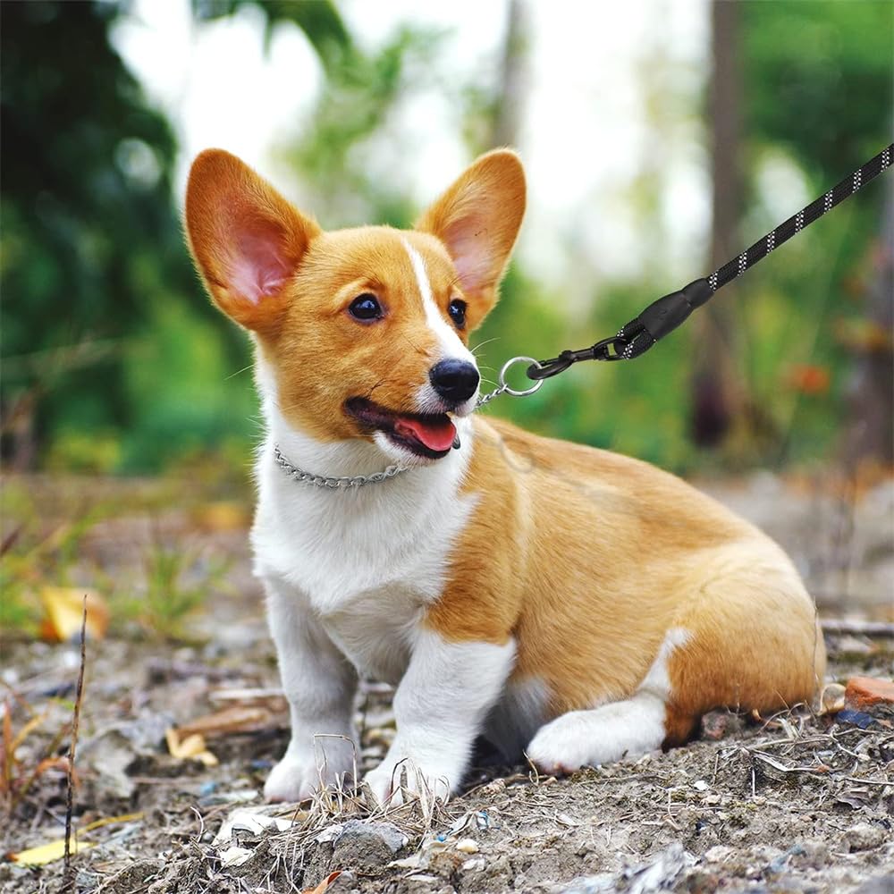 Silver Dog Chain Collar,Metal Slip Link P Chain Training Heavy Duty Male Boys Martingale Collar Female Girls Puppy Collars For X
