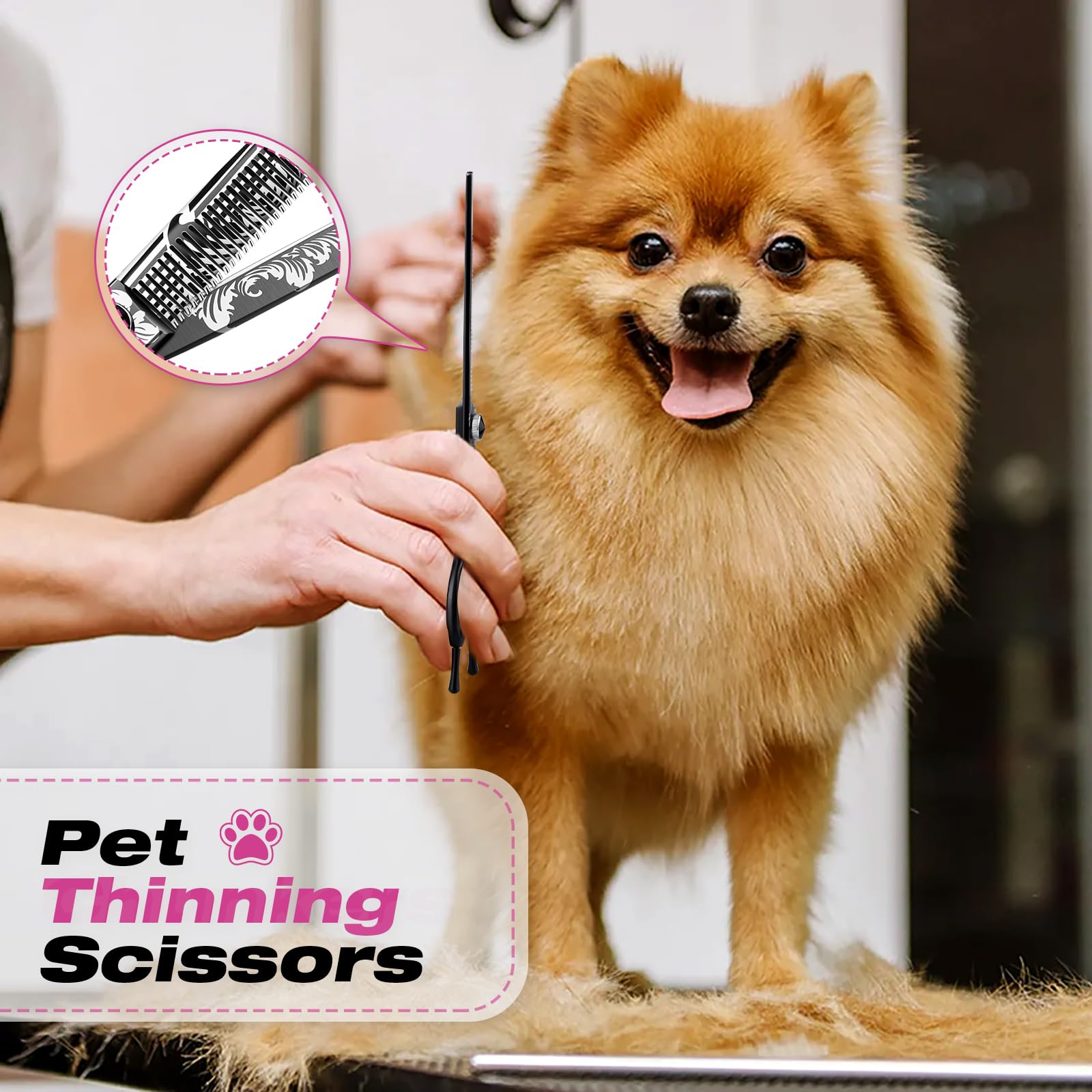 Jason Dog Grooming Scissors Kit, Professional 6 In 1 Dog Scissors Set - Thinning Shear, Straight Scissor, Dog Chunker, Down-Curv