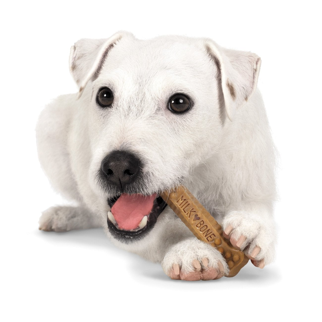 Milk-Bone Brushing Chews Daily Dental Treats - Small/Medium Value Pack, 22 Ounce - 28 Bones