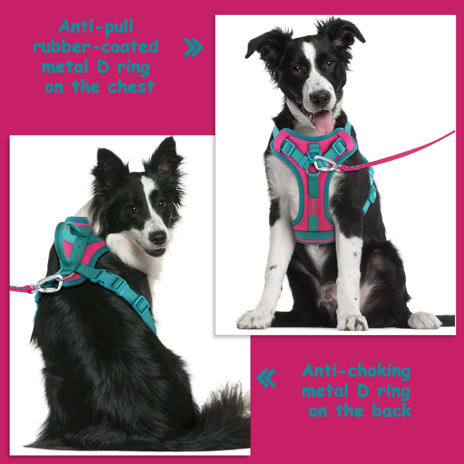 Wolfone No Pull Dog Harness, Adjustable Soft Padded Vest, Control Handle, Size M, Pink Peacock
