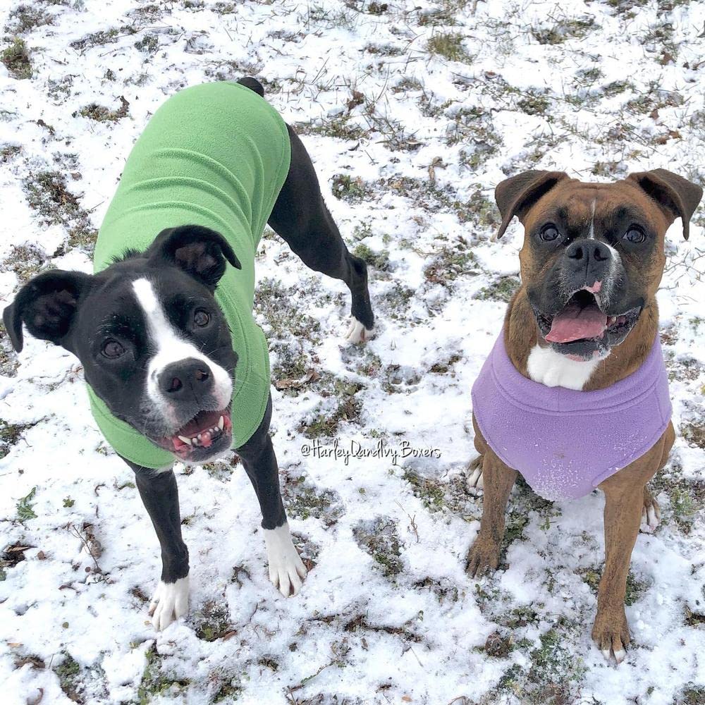 Gooby Stretch Fleece Vest Dog Sweater - Warm Pullover Fleece Dog Jacket - Winter Dog Clothes For Small, Large Dogs, Boy Or Girl - Soft, Super Stretchy Fleece Vest Dog Sweater - Grass Green, 6X-Large