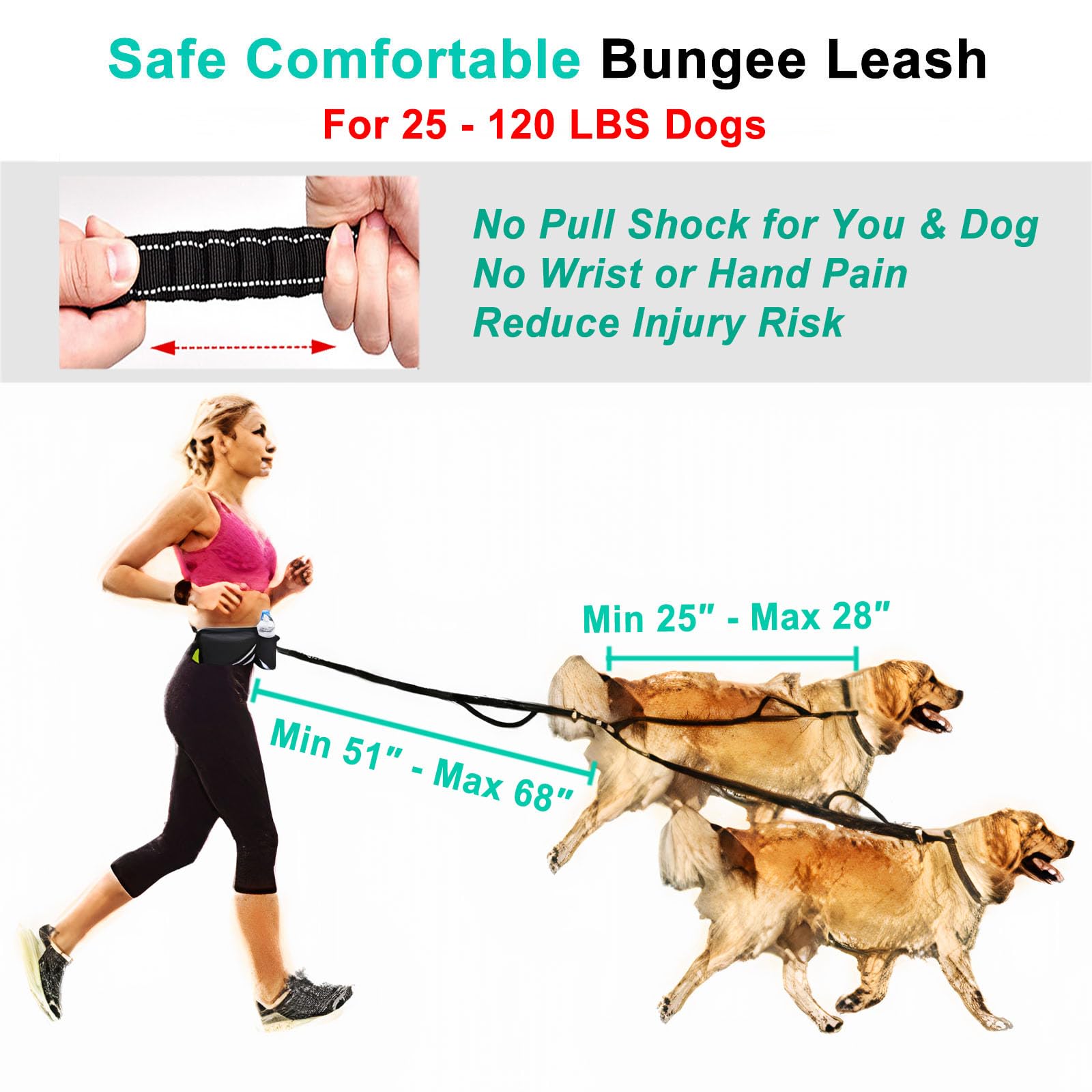 Hands Free Dog Leash For Two Dogs,Double Dog Leash For Medium And Large Dogs Heavy Duty,With Water Bottle Holder,Padded Handles,