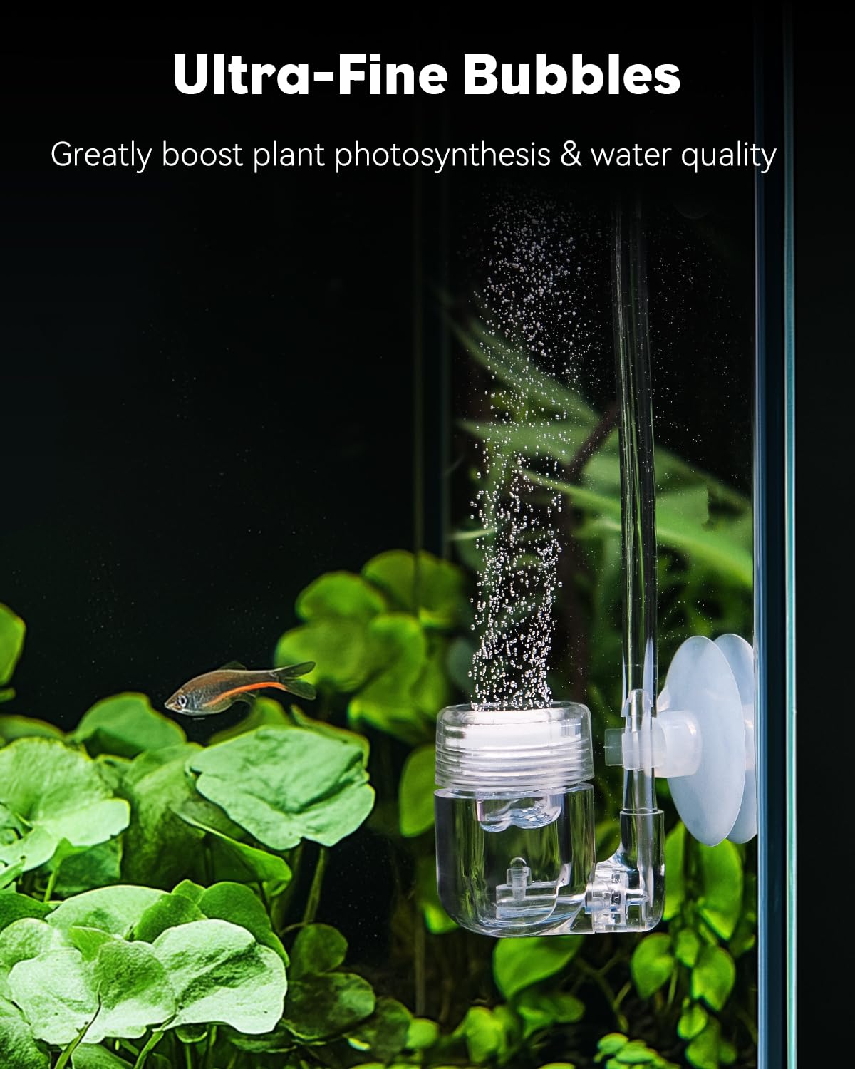 Pawfly Aquarium CO2 Diffuser Replacement Disc, 23 mm Replacement Ceramic Slice for Fish Tank Carbon Dioxide Atomizer, Replacemen