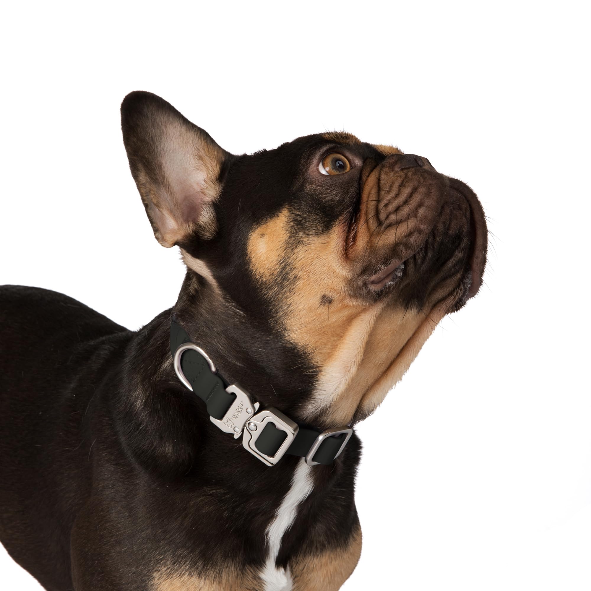 Nandog The Signature Collection Waterproof Poly-Flex Sport Dog Collar In Medium, Black - Durable & Adjustable - Secure Double La