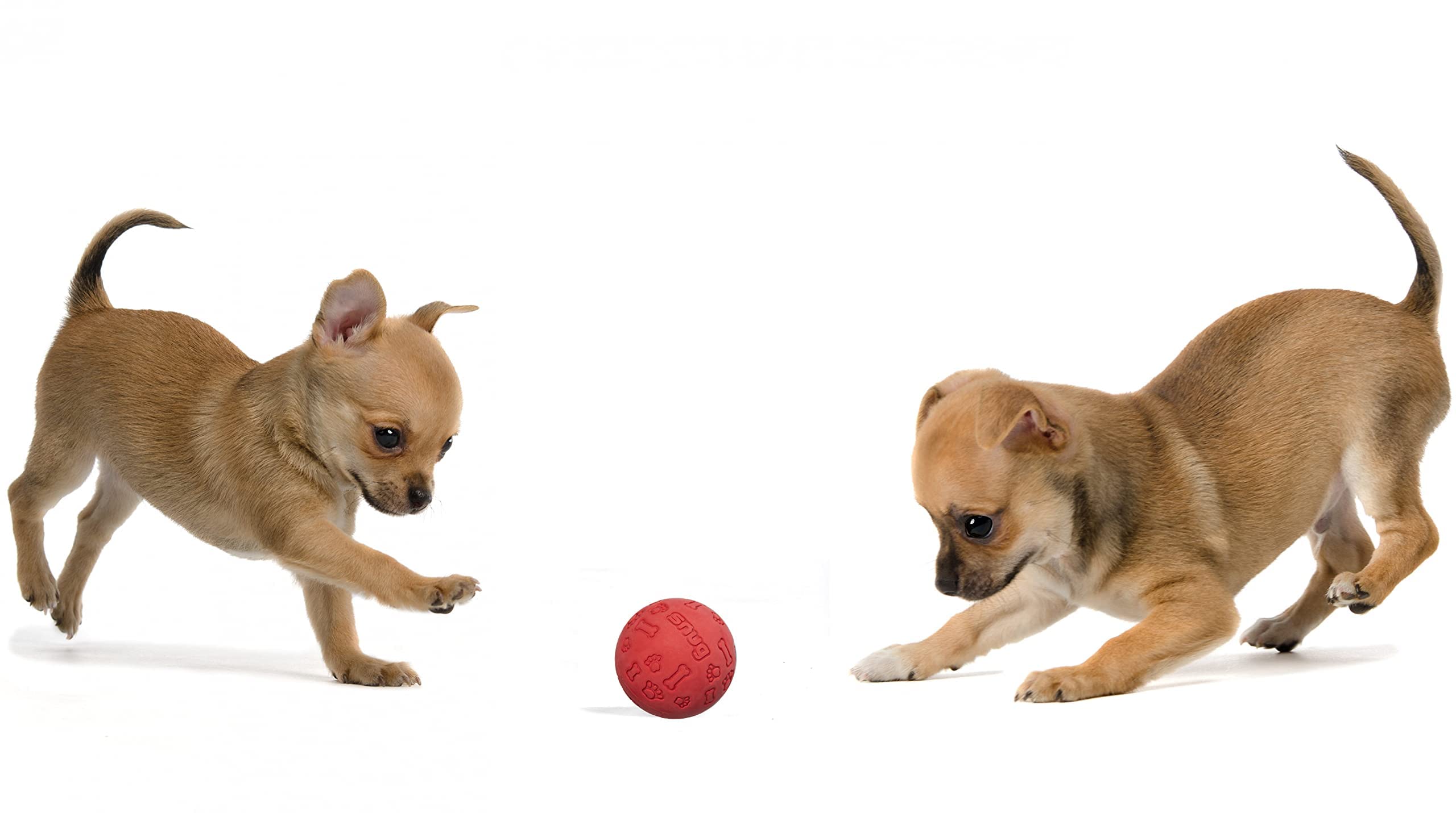 Snug Rubber Dog Balls For Small And Medium Dogs - Tennis Ball Size - Virtually Indestructible (3 Pack - Red)