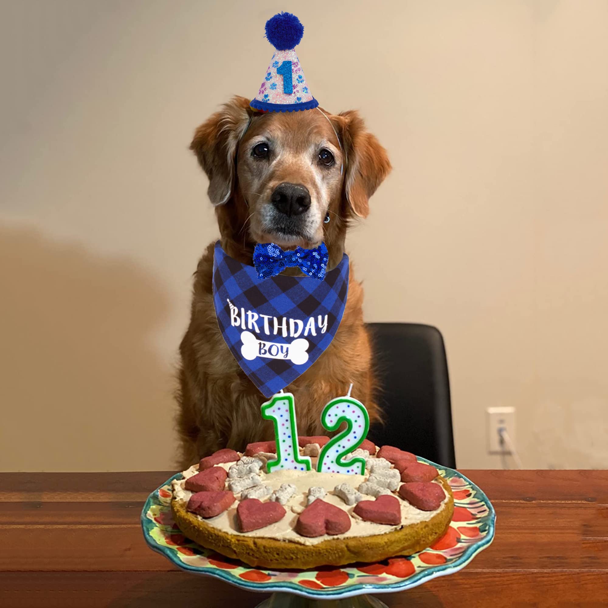 Adoggygo Dog Birthday Party Supplies, Pet Party Hat With Numbers, Bow, Blue Plaid Birthday Boy Bandana For Medium Large Dogs (La