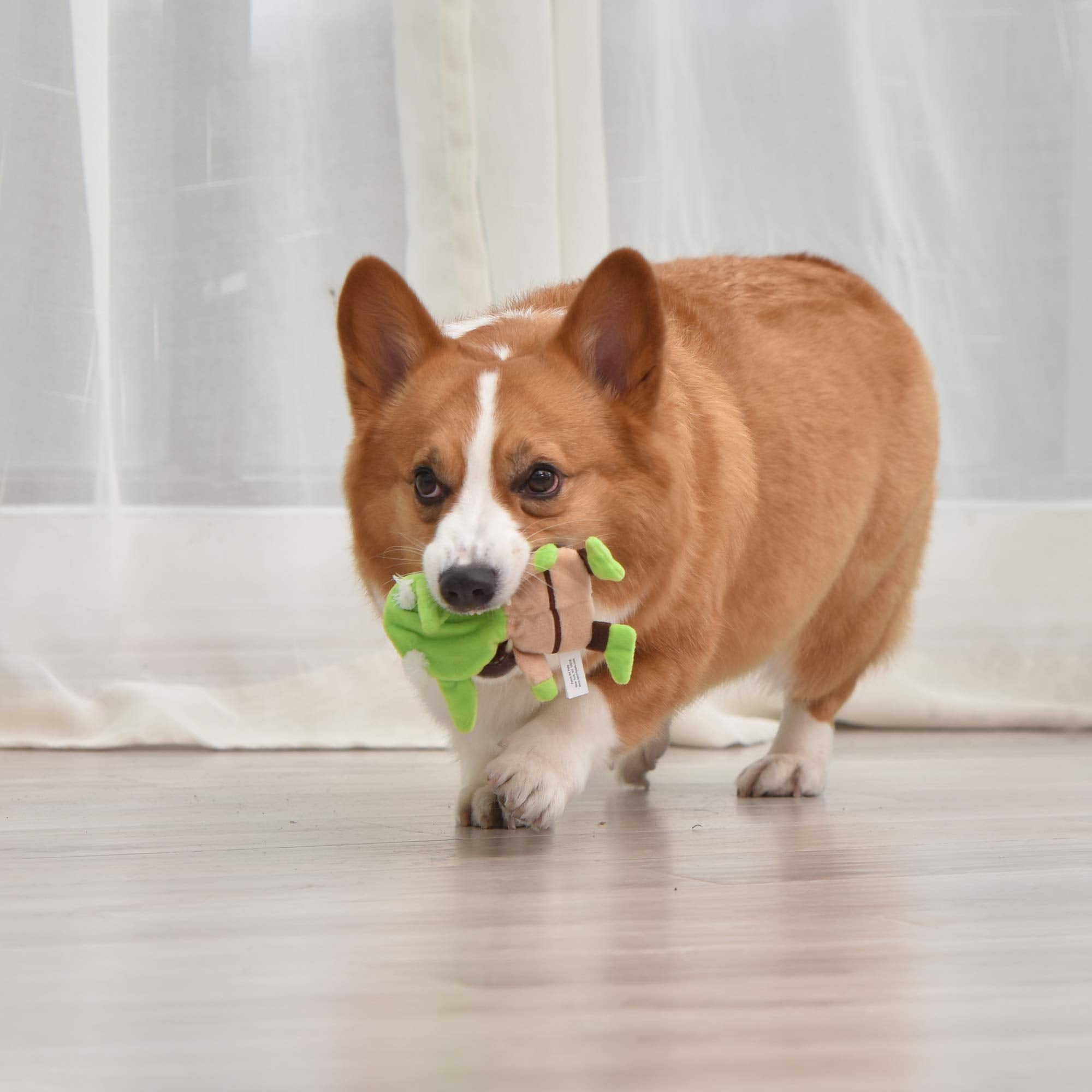 Star Wars Dog Toy Yoda 6 Inch Plush Flattie Dog Toy | Small Yoda Dog Toy, Small Dog Chew Toy For All Dogs | Flat Dog Toy, Stuffingless Dog Toy For Pets