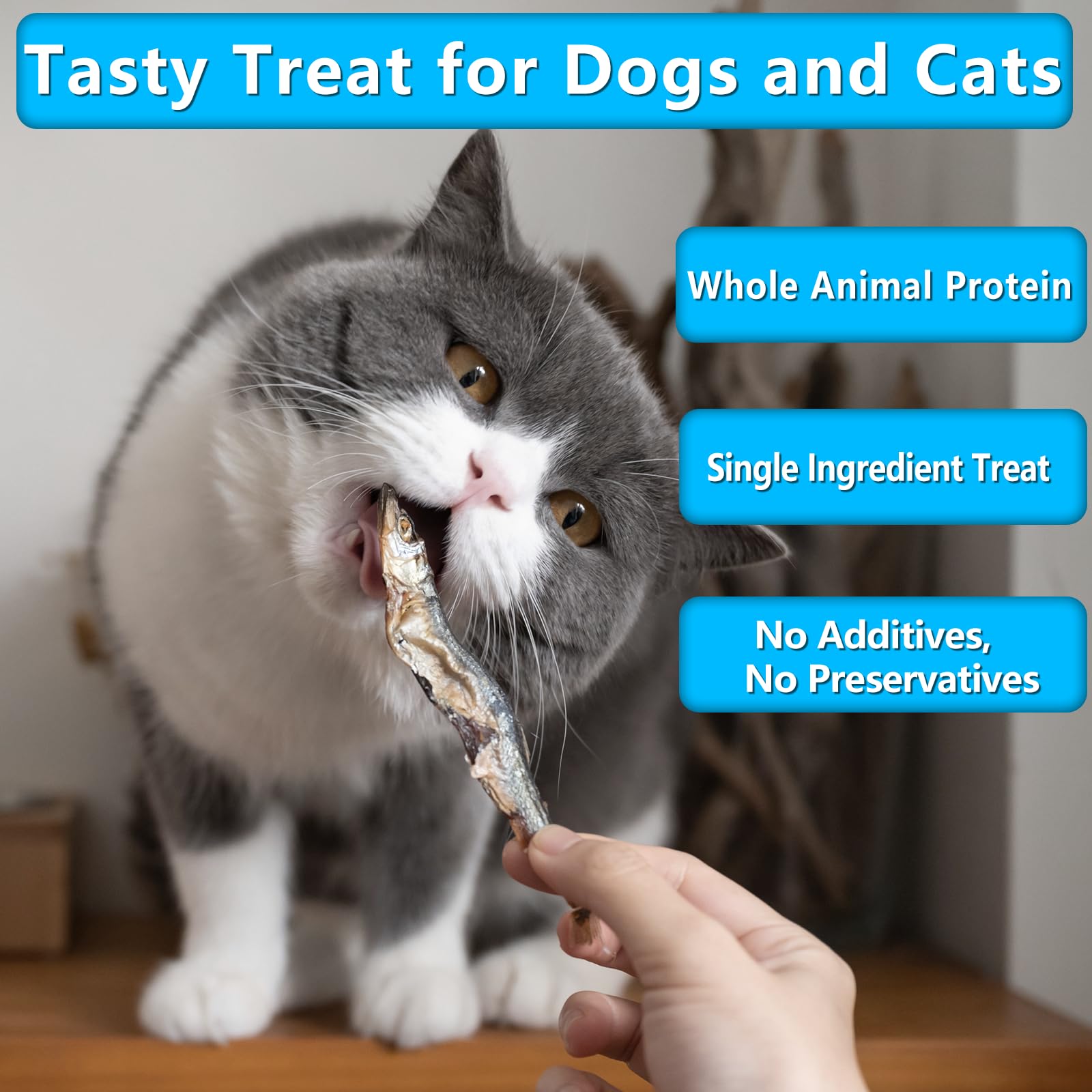 JADINGSFARM 2.5oz Natural Air-Dried Minnows Dog and Cat Treats, Grain-Free, High-Protein, Single-Ingredient Fish Snacks for Trai