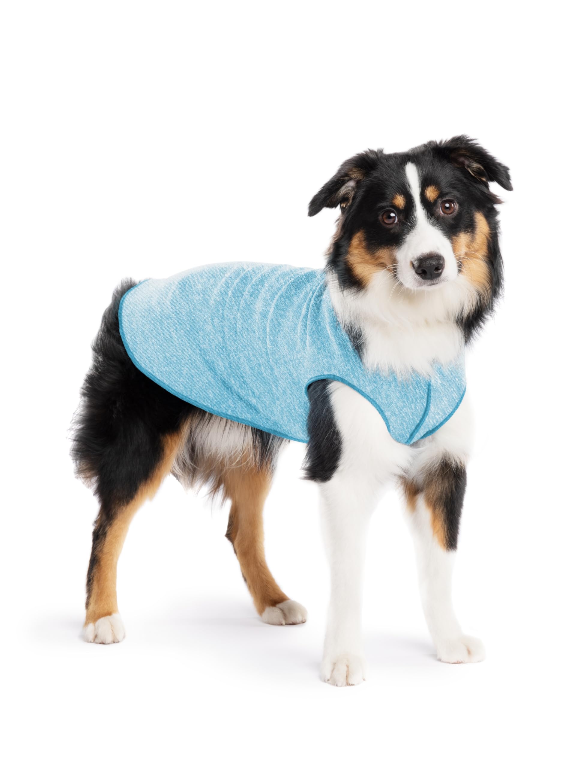 Gold Paw Sun Shield Dog Tee – T-Shirt For Canines – Uv Protection, Pet Anxiety Relief, Wound Care – Protects Against Foxtails, Aids Alopecia - Machine Washable, All Season – Size 14 – Ocean Blue