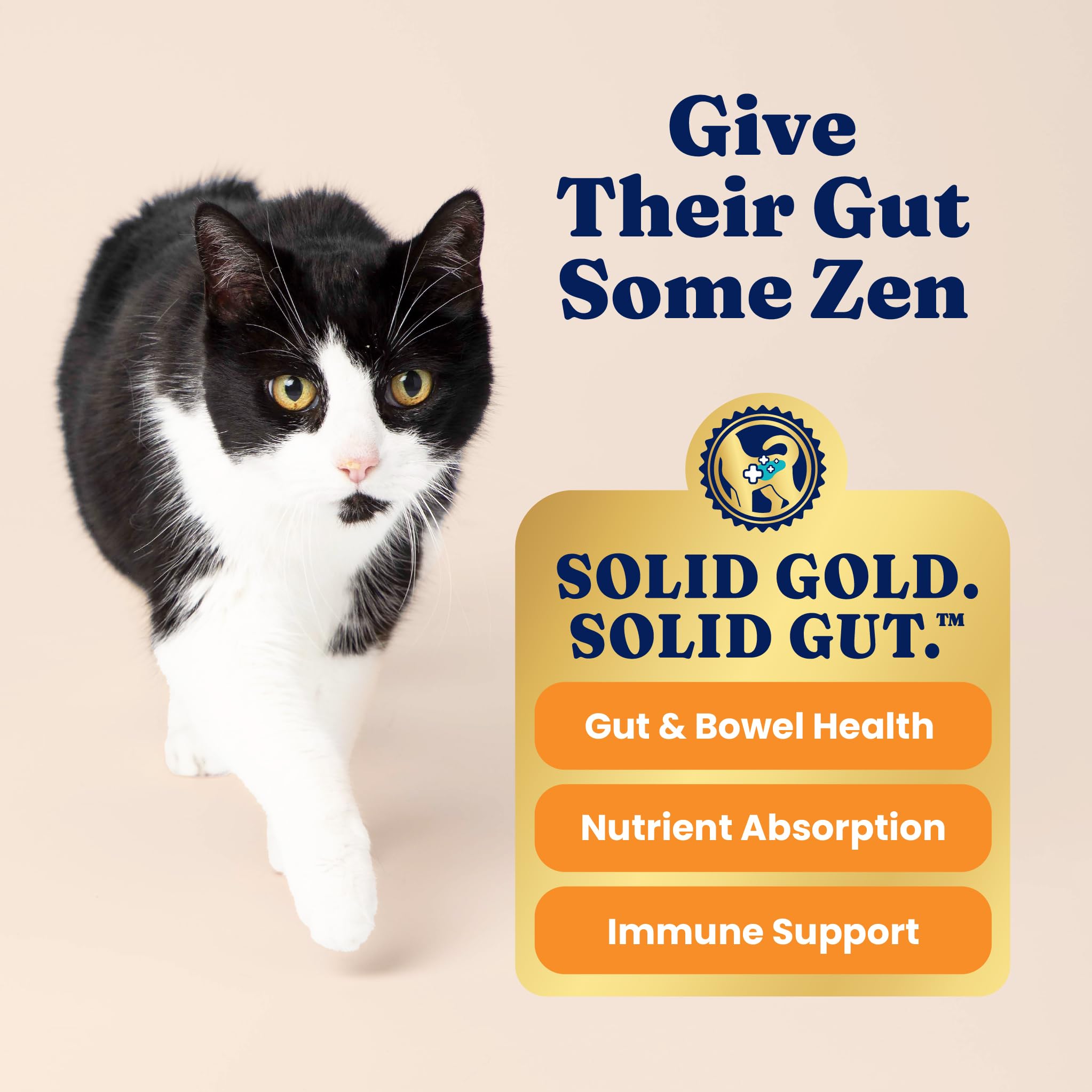 Solid Gold Indoor Dry Cat Food - Grain Free & Gluten Free - Salmon Cat Food Dry Kibble for Indoor Cats w/Probiotics & Fiber for