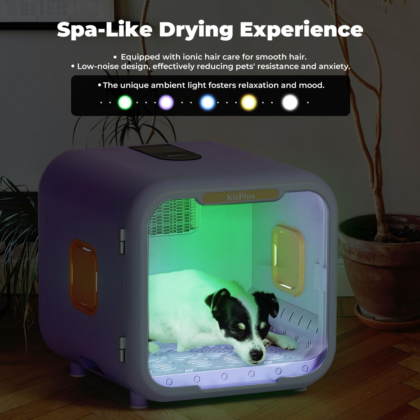 KITPLUS Pet Dryer Box for Dogs and Cats, 71L Large Capacity Ultra-Quiet Dog Hair Dryer Box with Smart Lock, Adjustable Temperatu