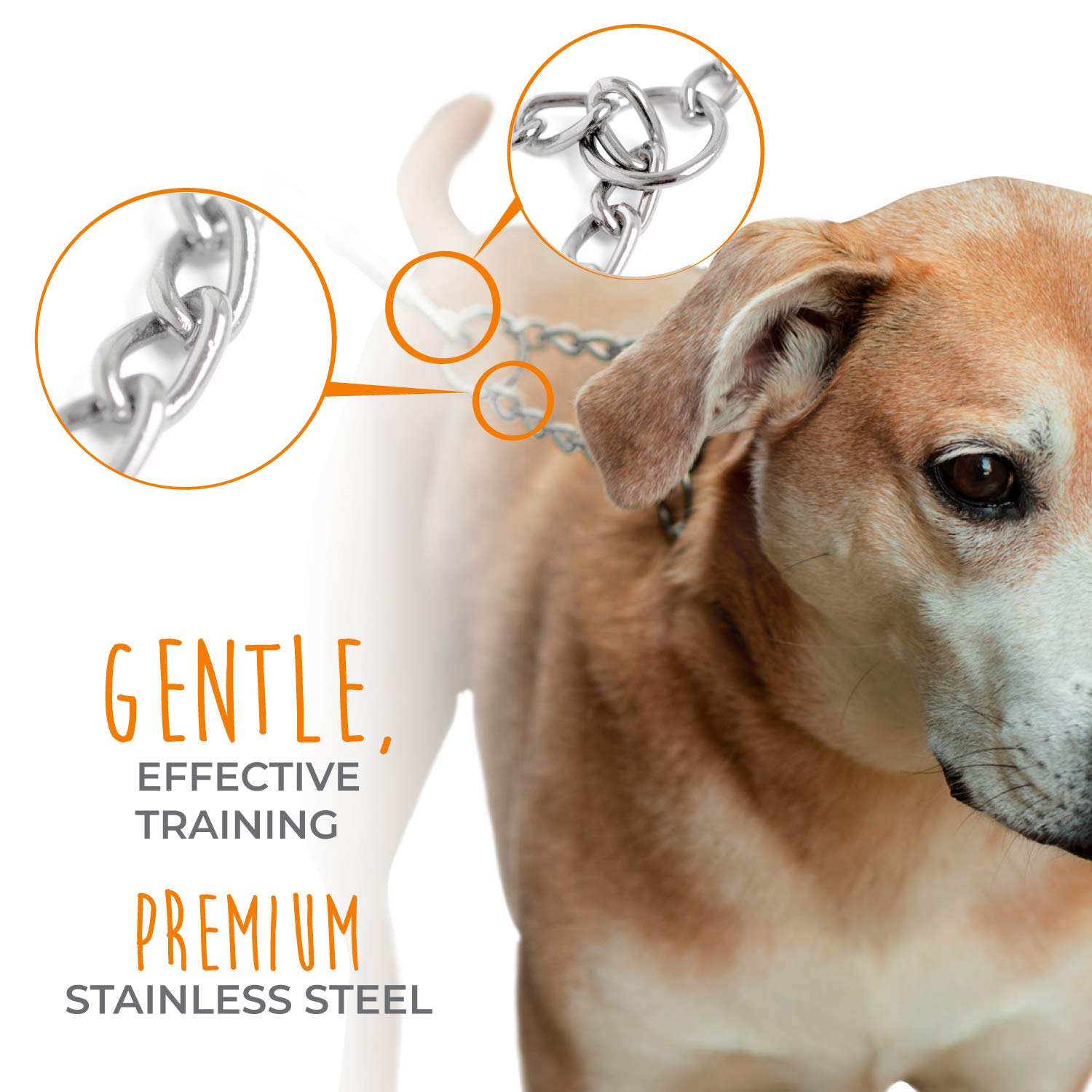 Mighty Paw Martingale Training Collar - Modified Slip Chain - No Slip - Trainer Approved - No More Pulling - Suitable For All Dogs - Steel Chain - Training Collar Chain - Stainless Steel Collar (32')