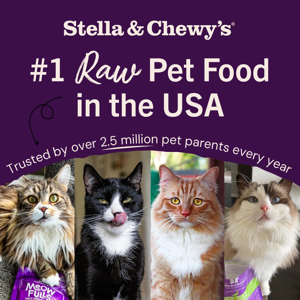 Stella & Chewys Freeze-Dried Raw Cat Dinner Morsels - Premium Beef Recipe with 98% Grass-Fed Meat & Organs - Natural Grain-Free