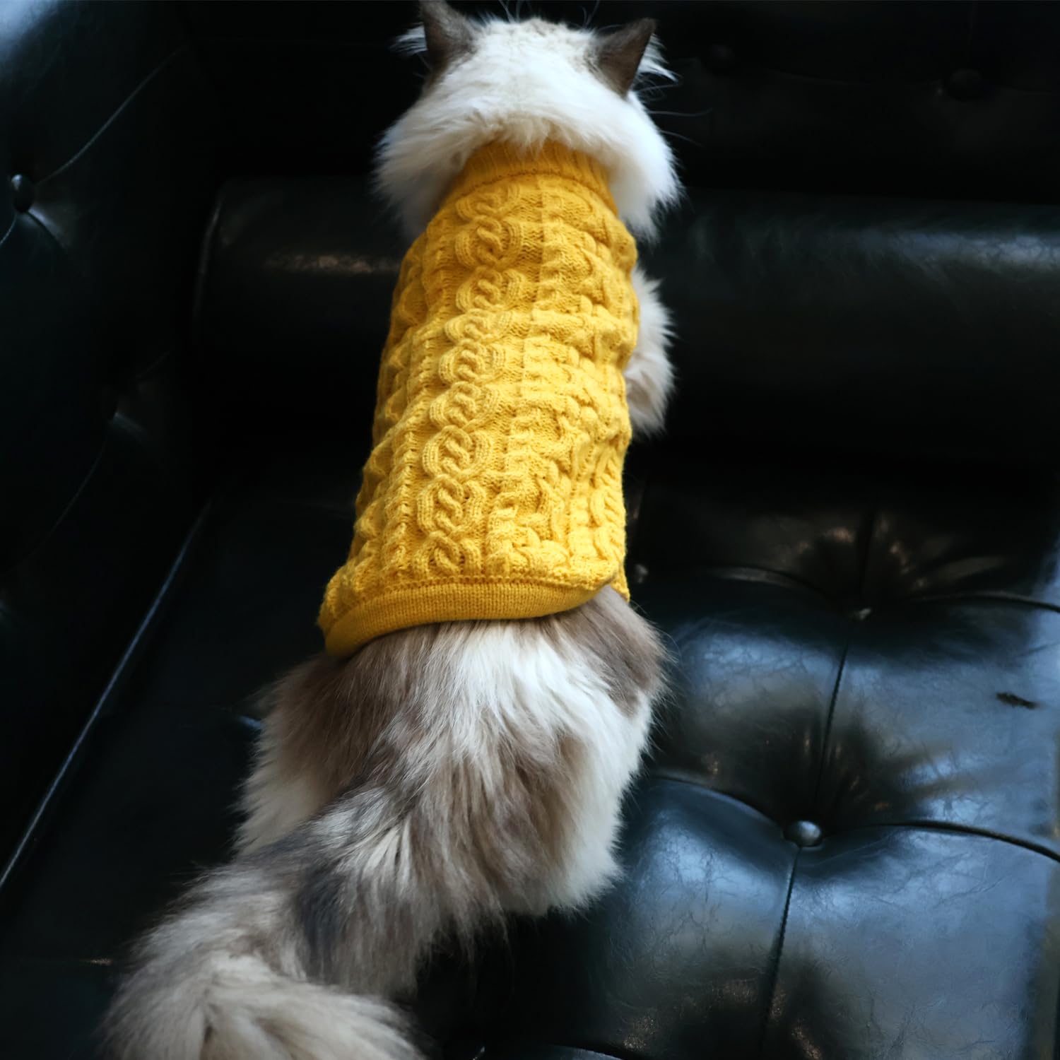 Knitted Warm Cat Clothes, Fall Winter Soft Pet Coat Sweater, Thermal Knitwear Apparel For Cats, Yellow (Small)