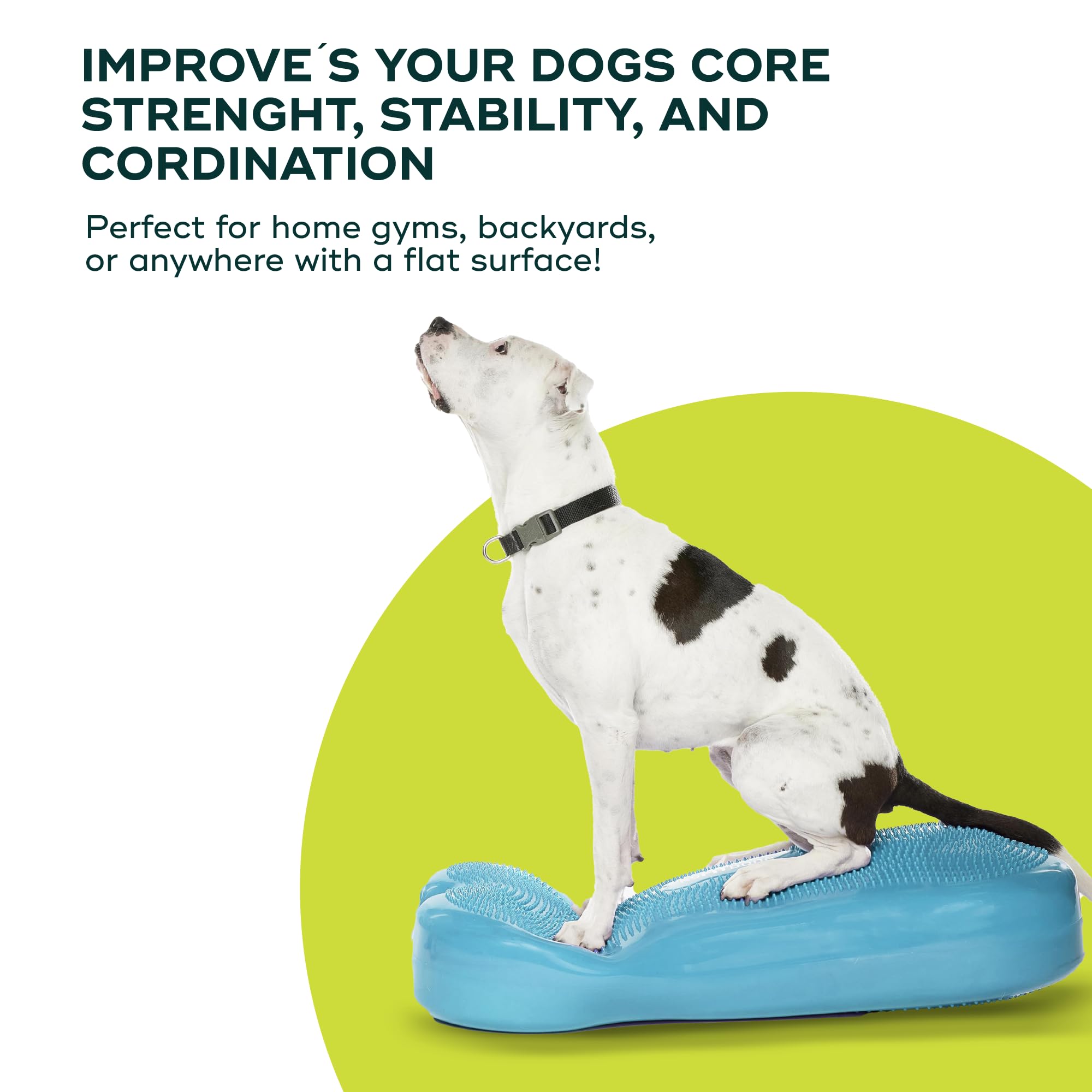 Fitpaws® K9Fitbone® - Giant, Turquoise | Dog Balance Training Platform & Exercise Equipment | Workout Tool For Strength, Core & Stability