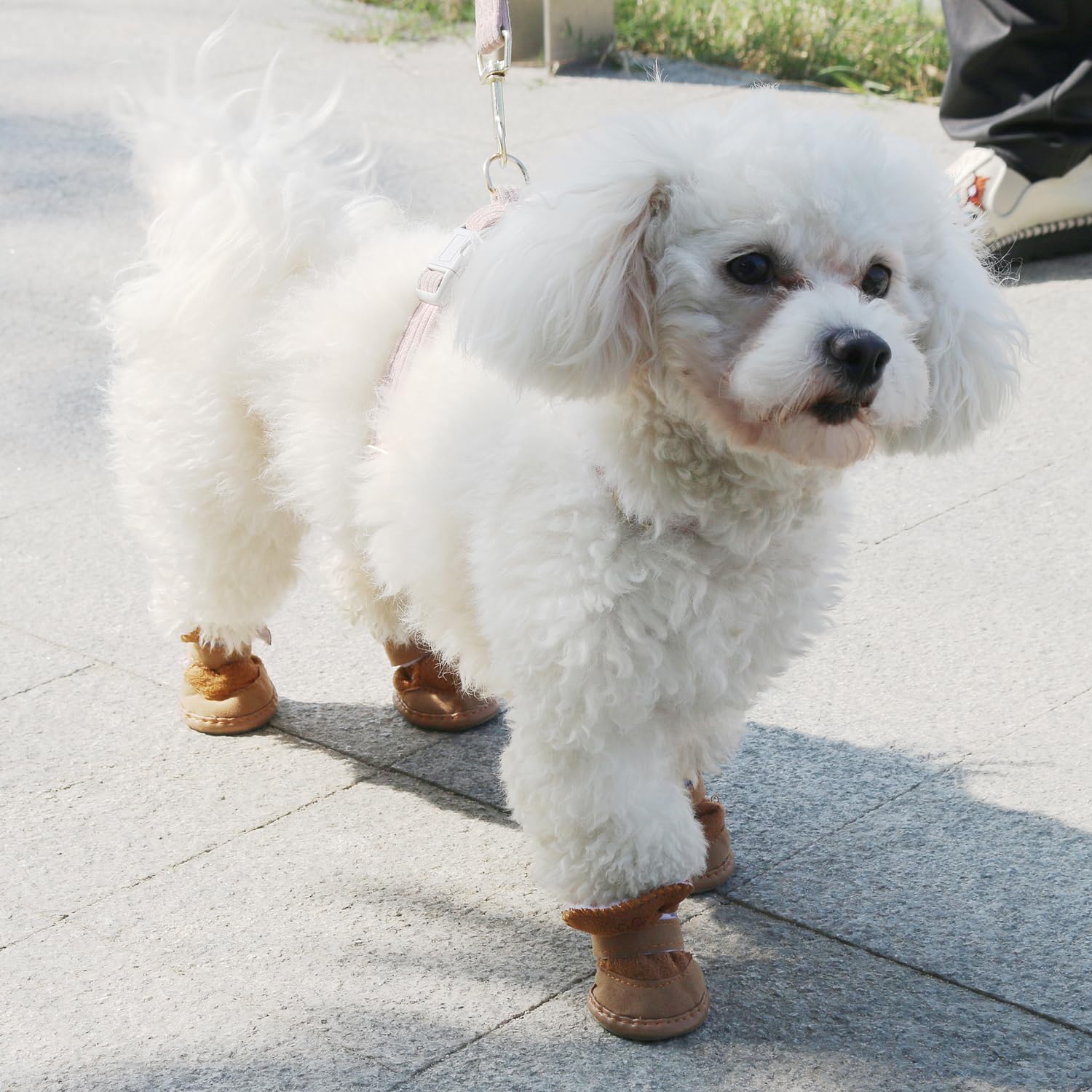 Urbest Dog Shoes With Hook Loop Closure Booties Pet Dog Chihuahua Shoes Boots 4Pcs (2#, Brown)