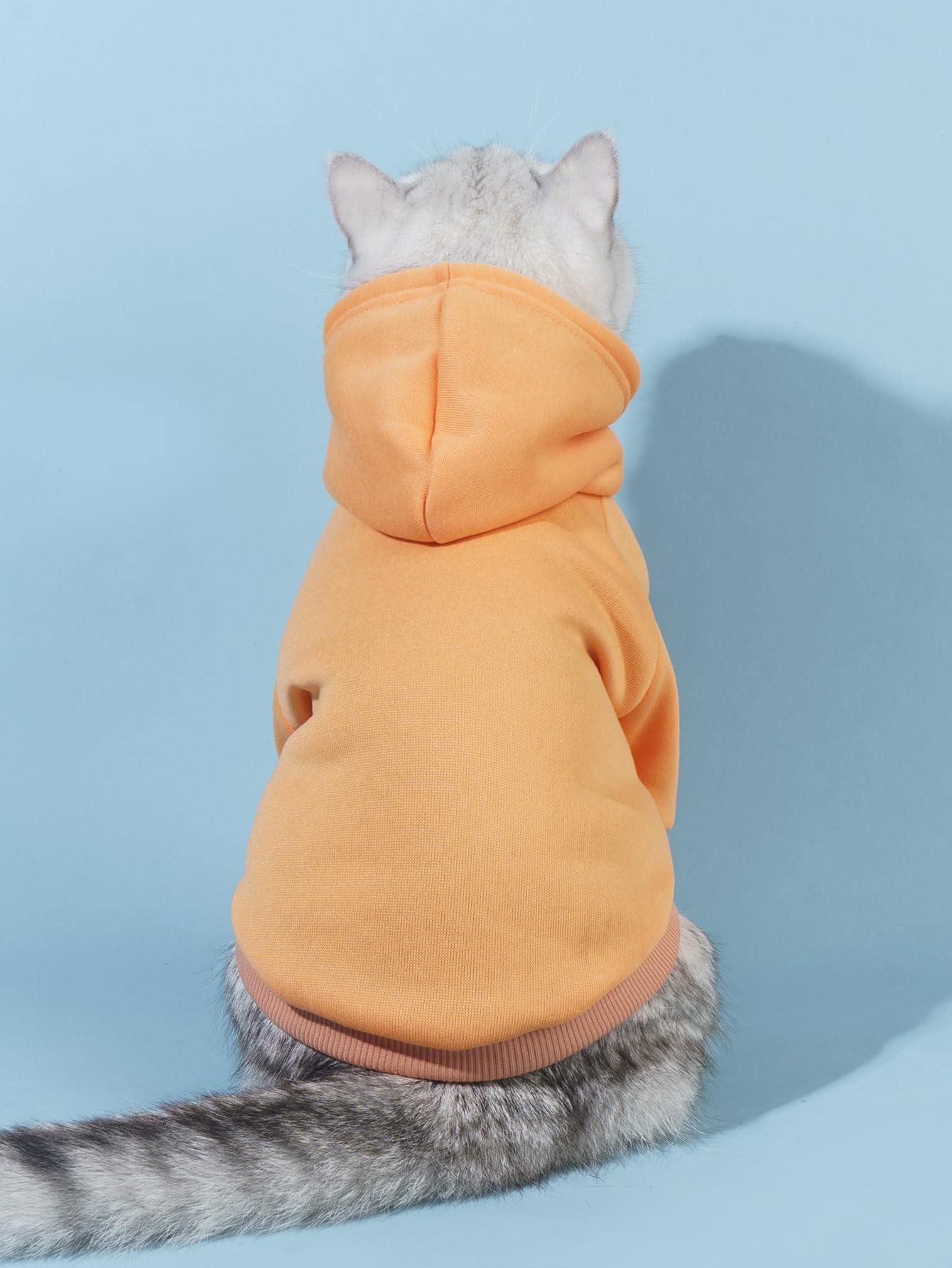 QWINEE Basic Dog Hoodie, Dog Warm Jacket, Cat Apparel, Dog Shirt, Dog Clothes for Puppy Kitten Small Medium Dogs Cats Orange M