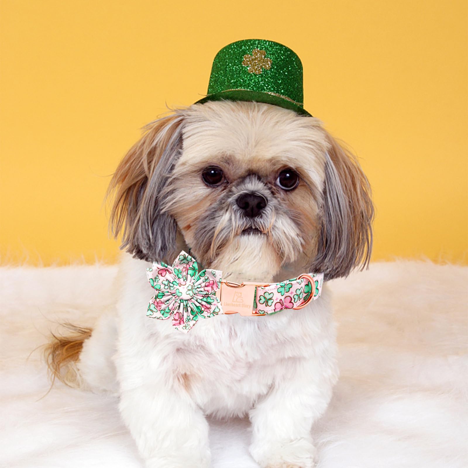 Lionheart Glory St. Patrick'S Day Collar With Flower Bows, Green Shamrock Clover Collar For Small Dogs
