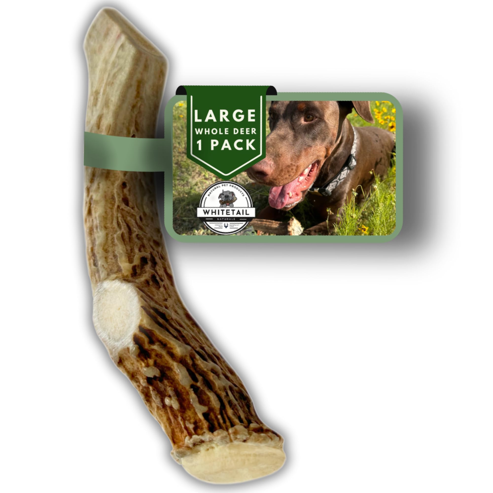 WhiteTail Naturals - Deer Antlers for Large Dogs - Long Lasting Antler Dog Chews - Crafted in USA, Naturally Shed Antler Dog Bon