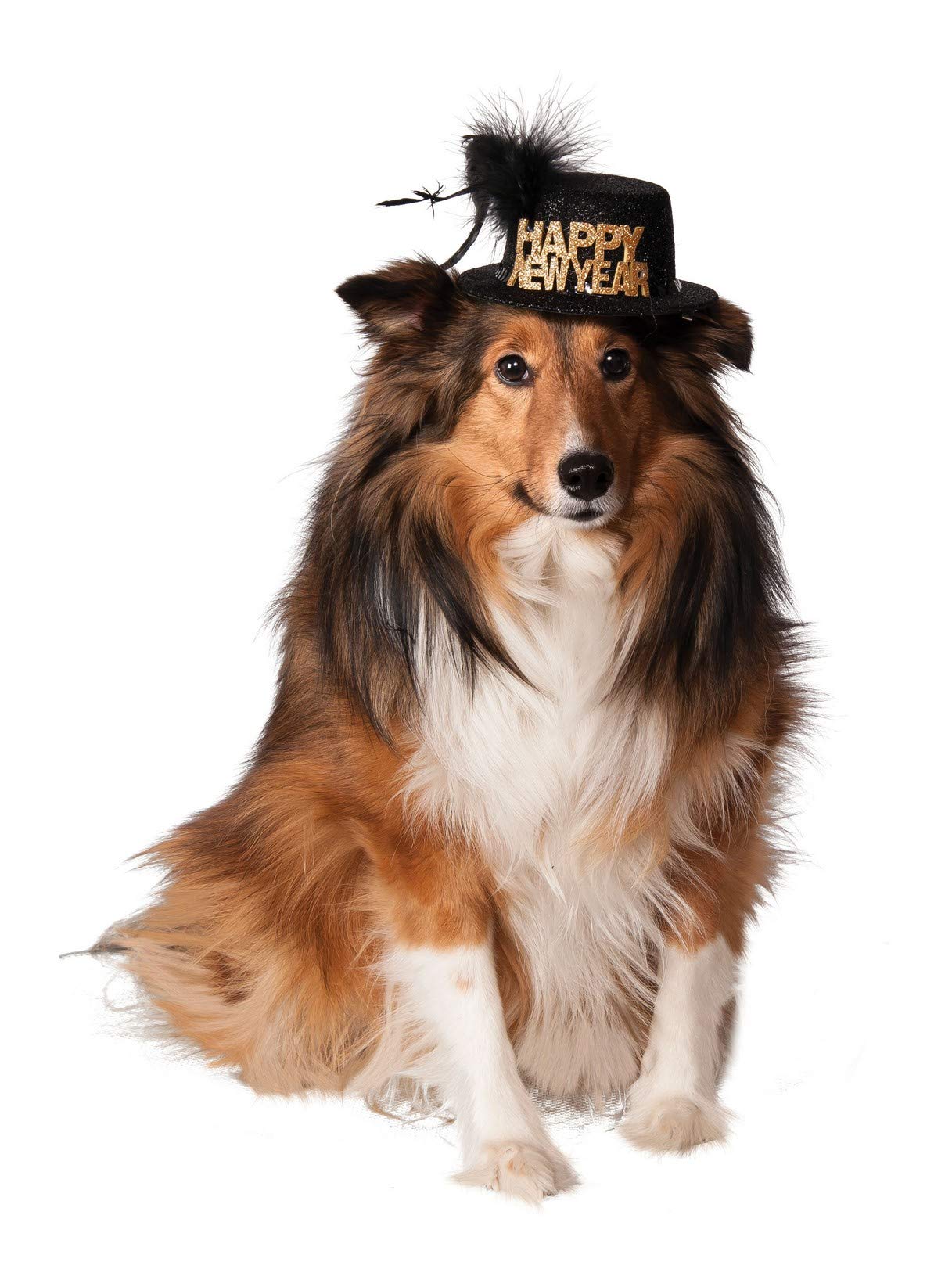 Rubie'S Happy New Year Pet Hat, Medium/Large