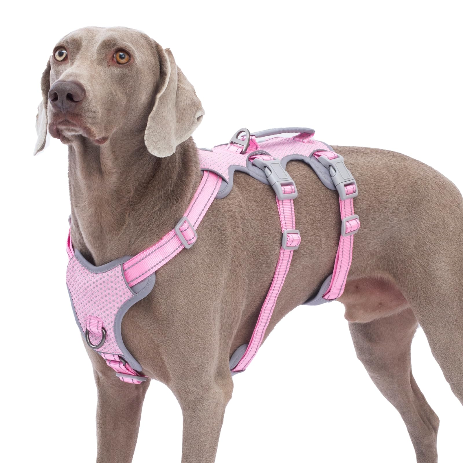 Huntboo Escape Proof Dog Harness, No Pull Reflective Harness With Lift Handle, Adjustable Pet Vest With Front And Back Leash Clips For Small Medium Large Dogs Walking Hiking Training (Pink,L)