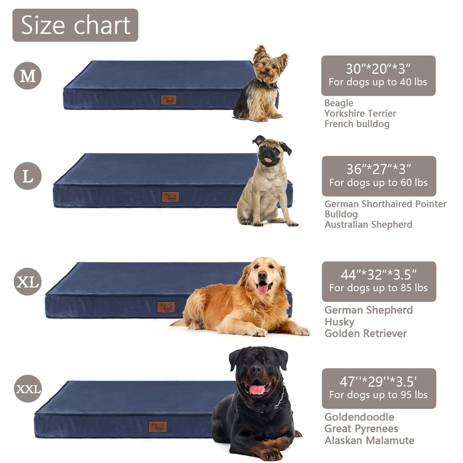 Tail Stories Outdoor Waterproof Dog Bed, Medium Navy, Orthopedic Egg Foam with Removable Cooling Cover