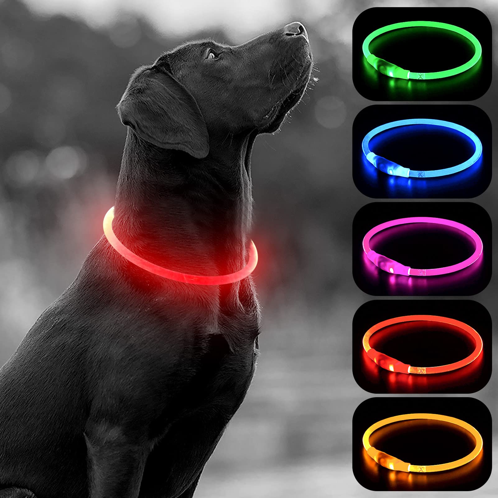Higo Led Dog Collar, Rechargeable Light Up Dog Collar, Led Safety Necklace For Nighttime Walking (Red)