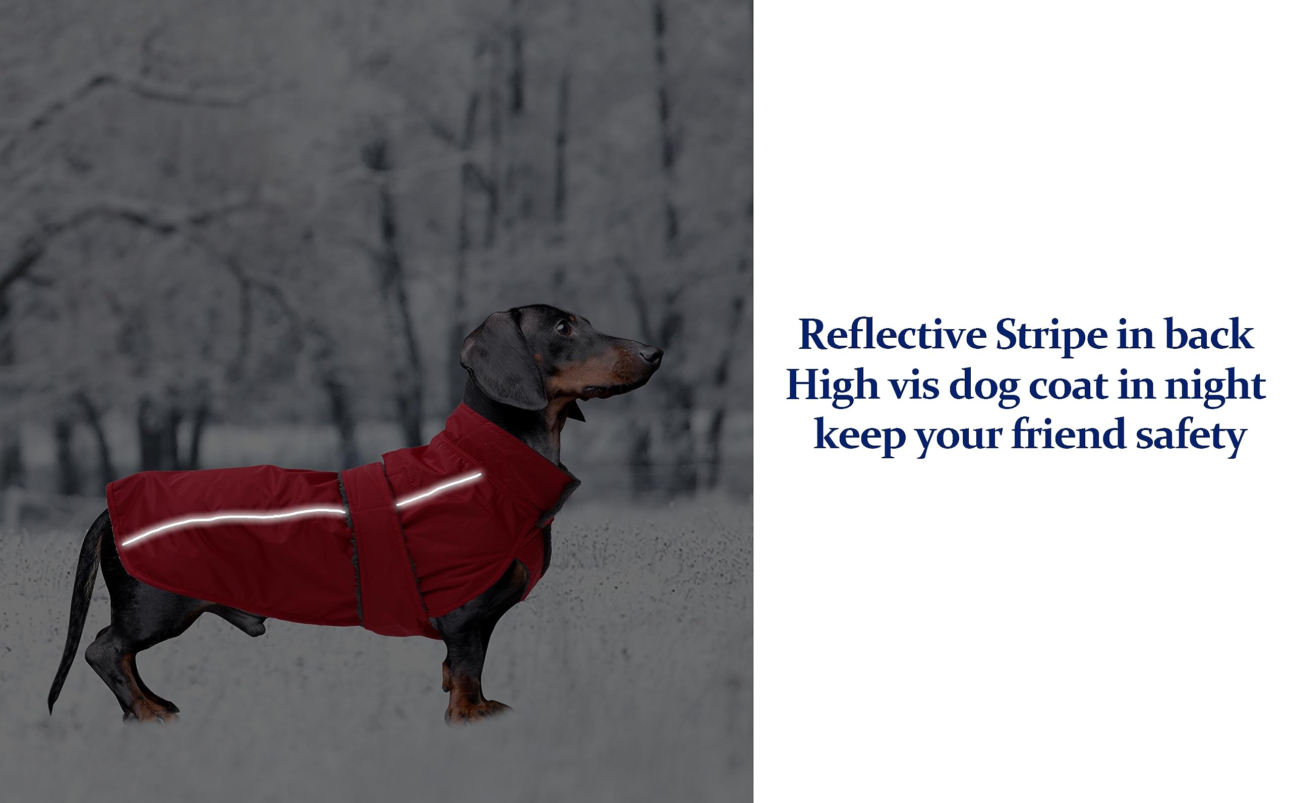 Dachshund Coat Waterproof, Perfect For Dachshund Sausage, Puppy Winter Jacket With Padded Fleece Lining, Outdoor Dog Clothing With Adjustable Bands And Underbelly Protection - Red - S