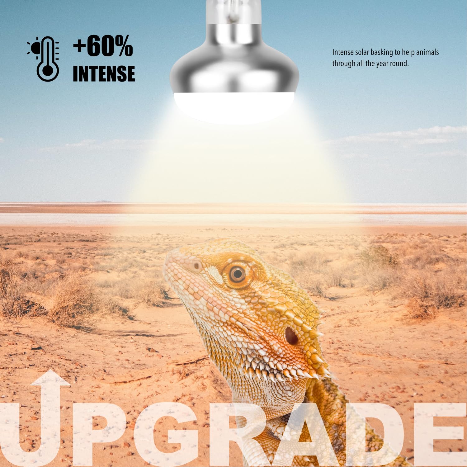 Reptiking Reptile Heat Lamp, 2 Pack 75W Intense Basking Bulbs Light For Reptiles, Uva Daylight Basking Light For Bearded Dragon,