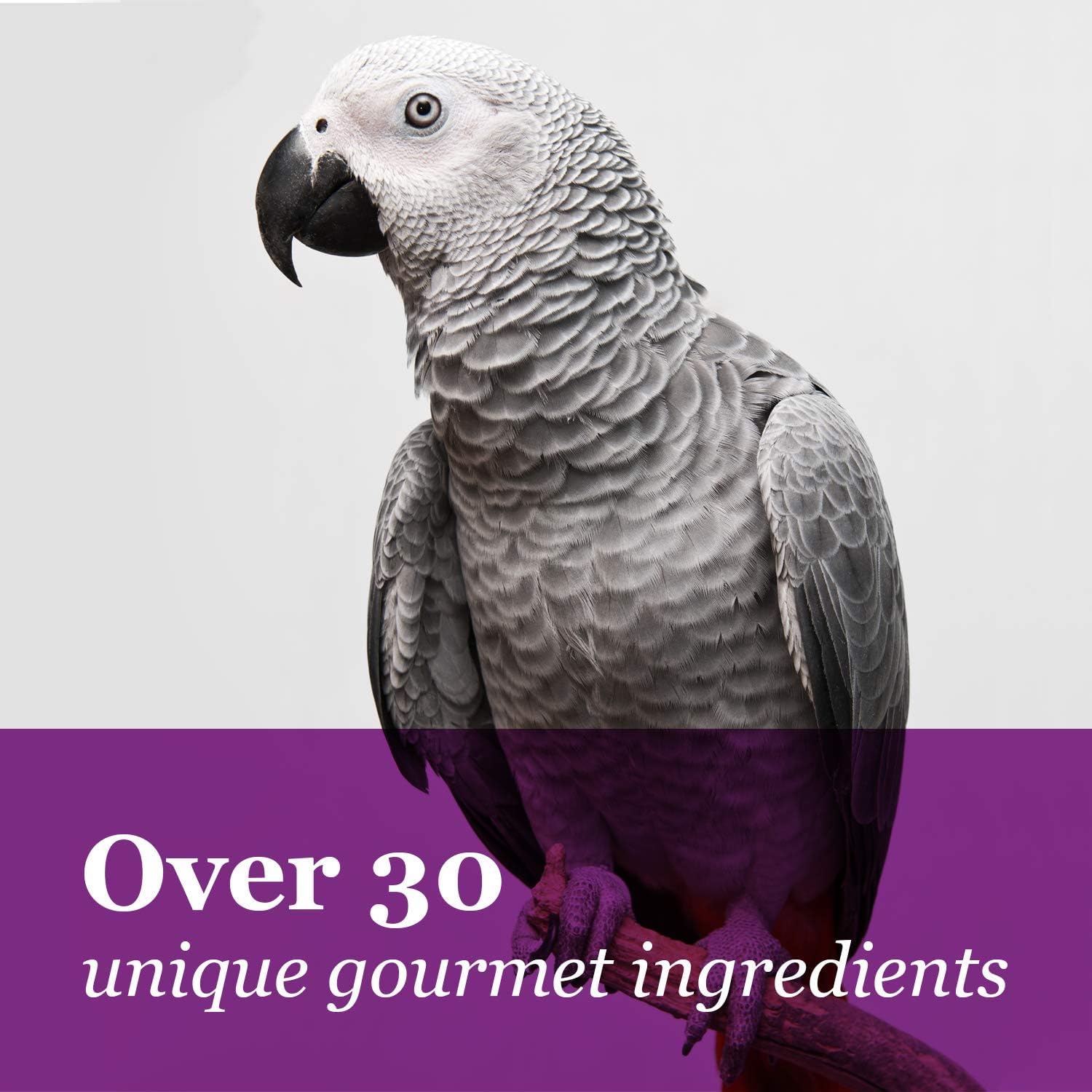 Tropical Carnival Gourmet Macaw Food Big Bites, 5 lb, Fortified with Probiotics for Digestive Health, Model 446851