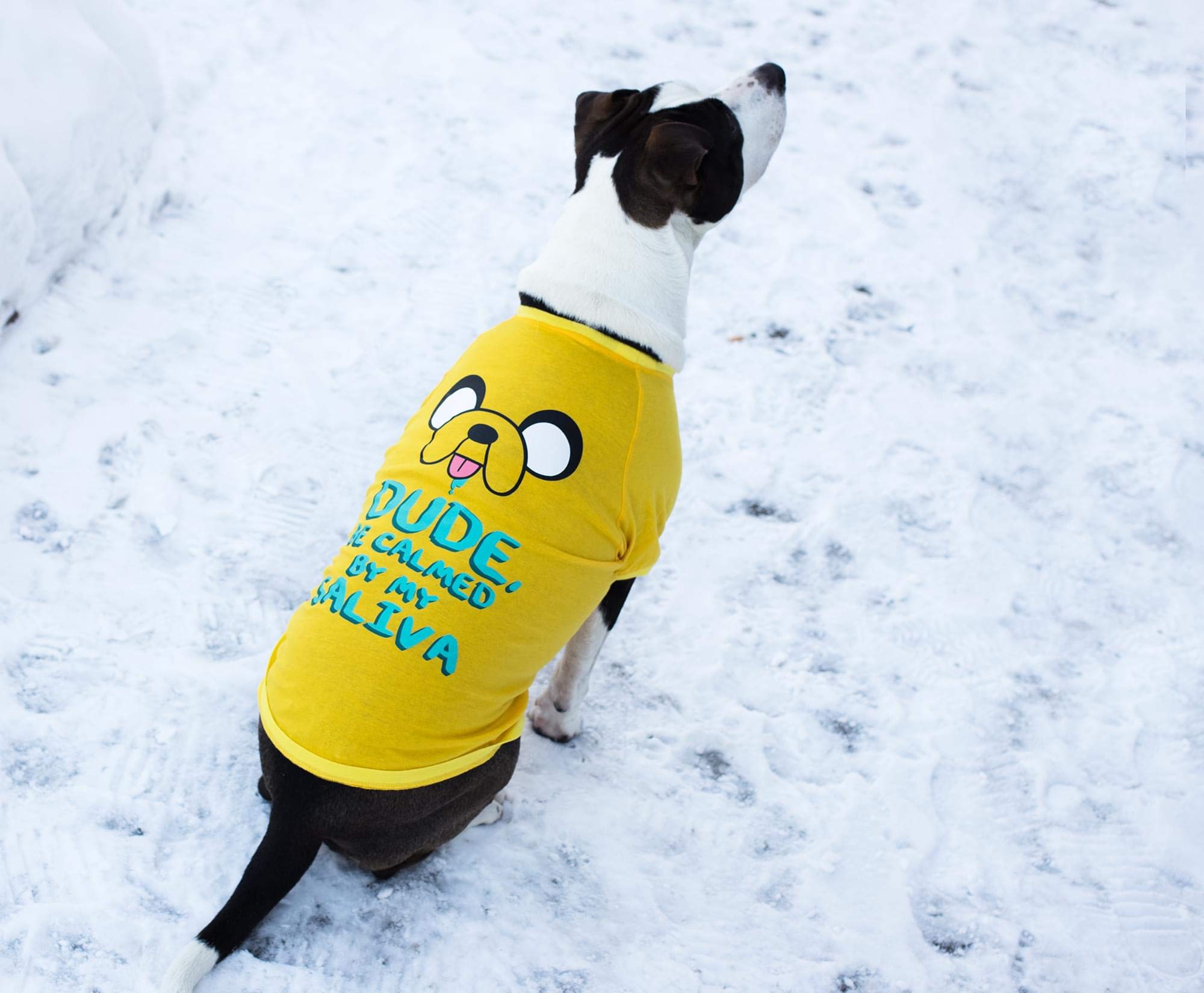 Crowded Coop, LLC Adventure Time Jake Saliva Dog Unisex Cartoon T-Shirt: Yellow, Small (15-18, 8.5-9) Cotton Blend